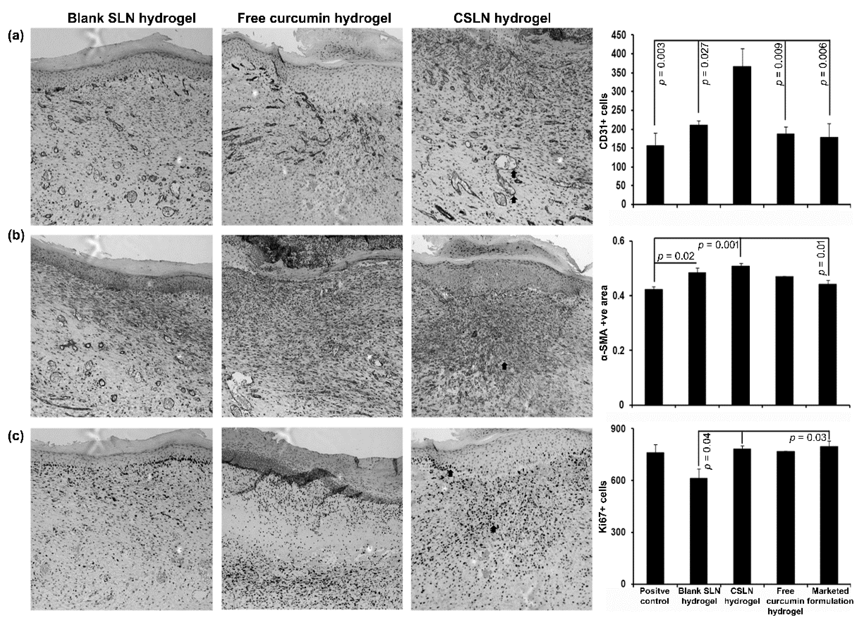 Antioxidants 10 00725 g011 Antioxidants 10 00725 g011
