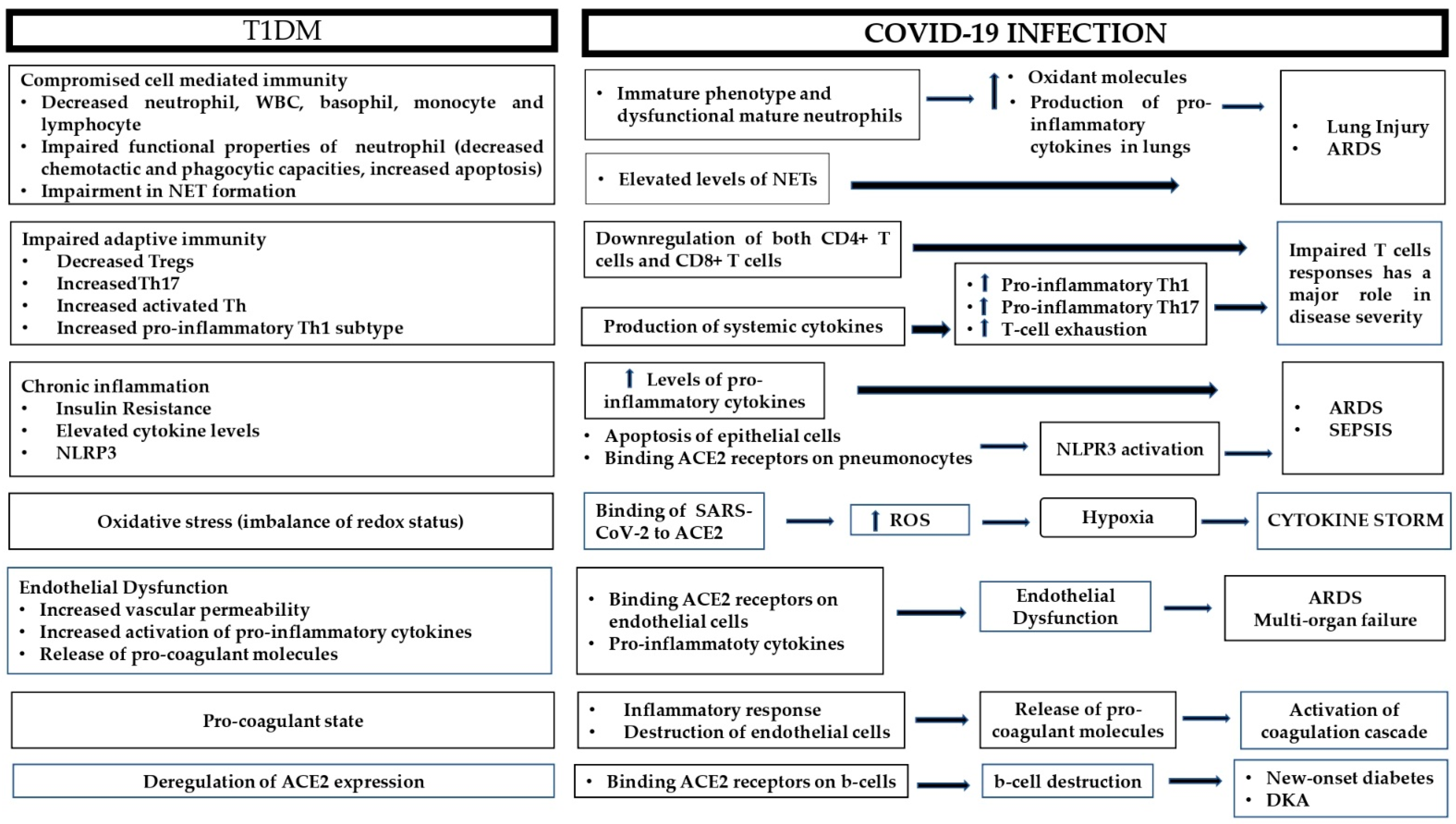 Antioxidants 10 00752 g001 Antioxidants 10 00752 g001
