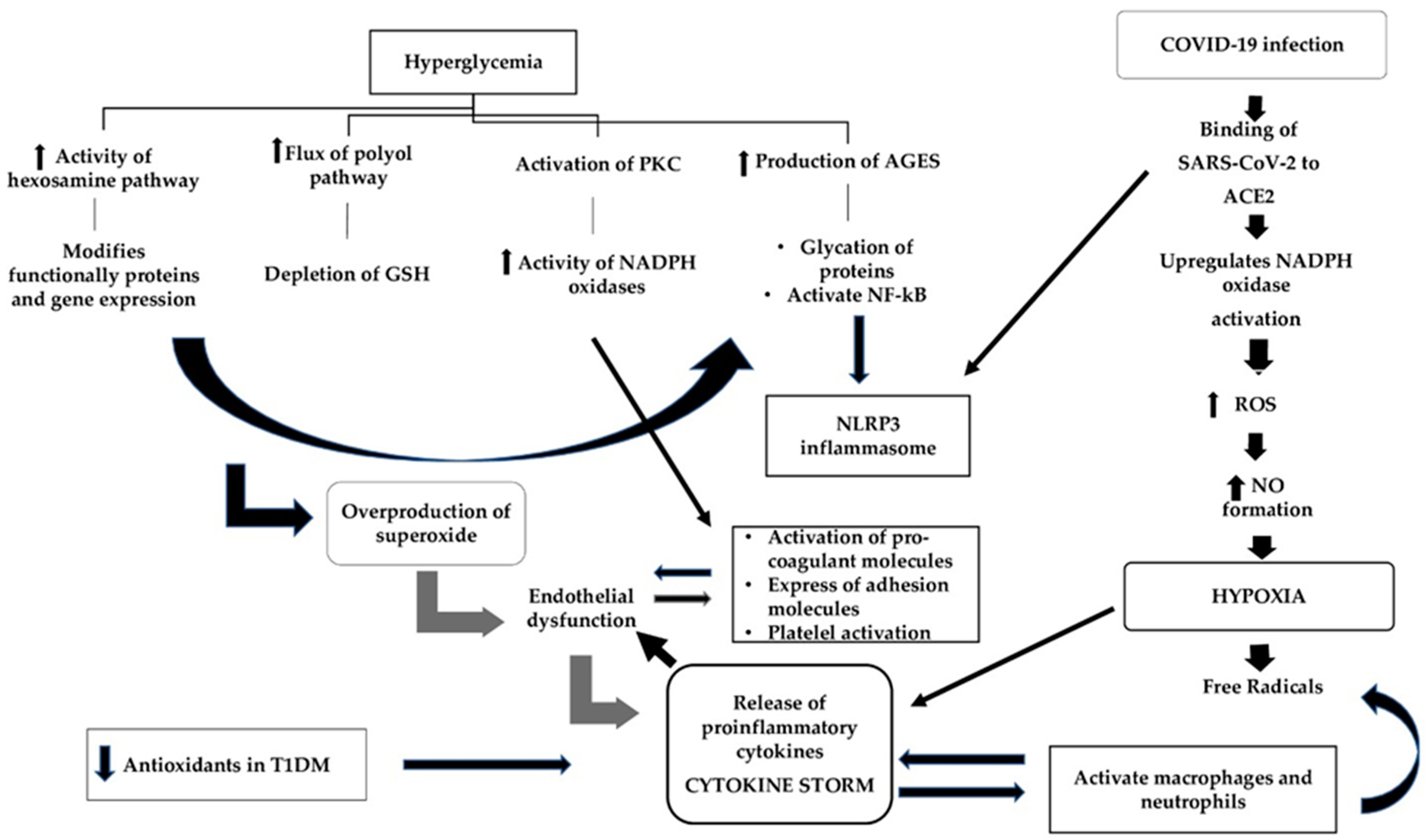 Antioxidants 10 00752 g002 Antioxidants 10 00752 g002