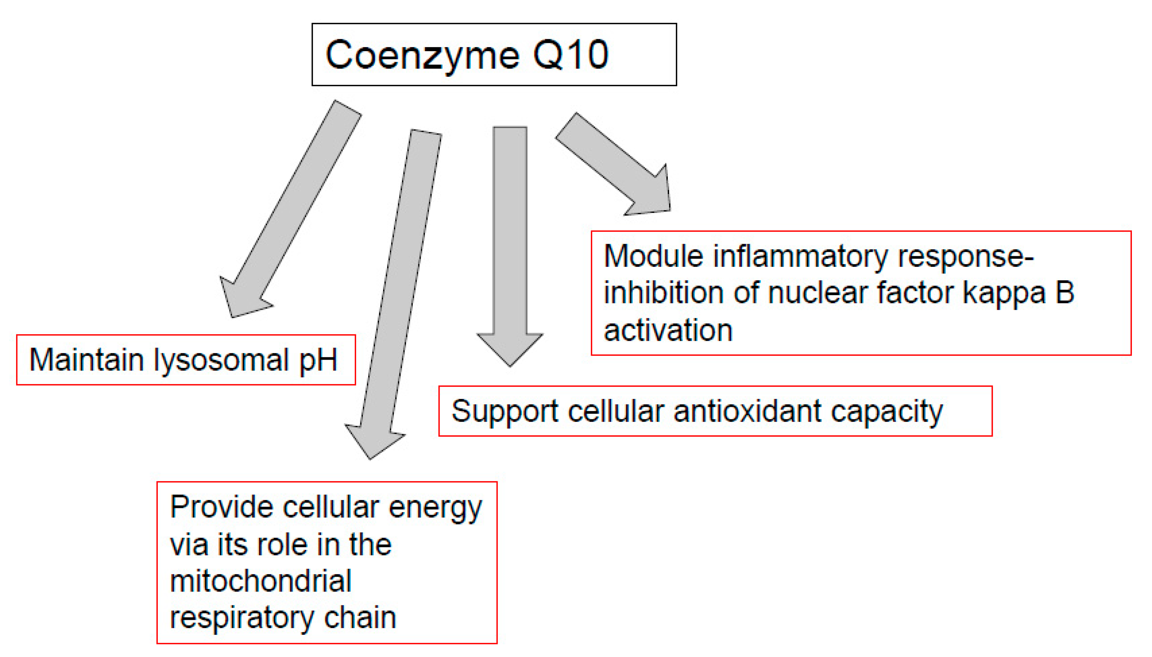 Antioxidants | Free Full-Text | Coenzyme Q10 and Immune Function: An  Overview