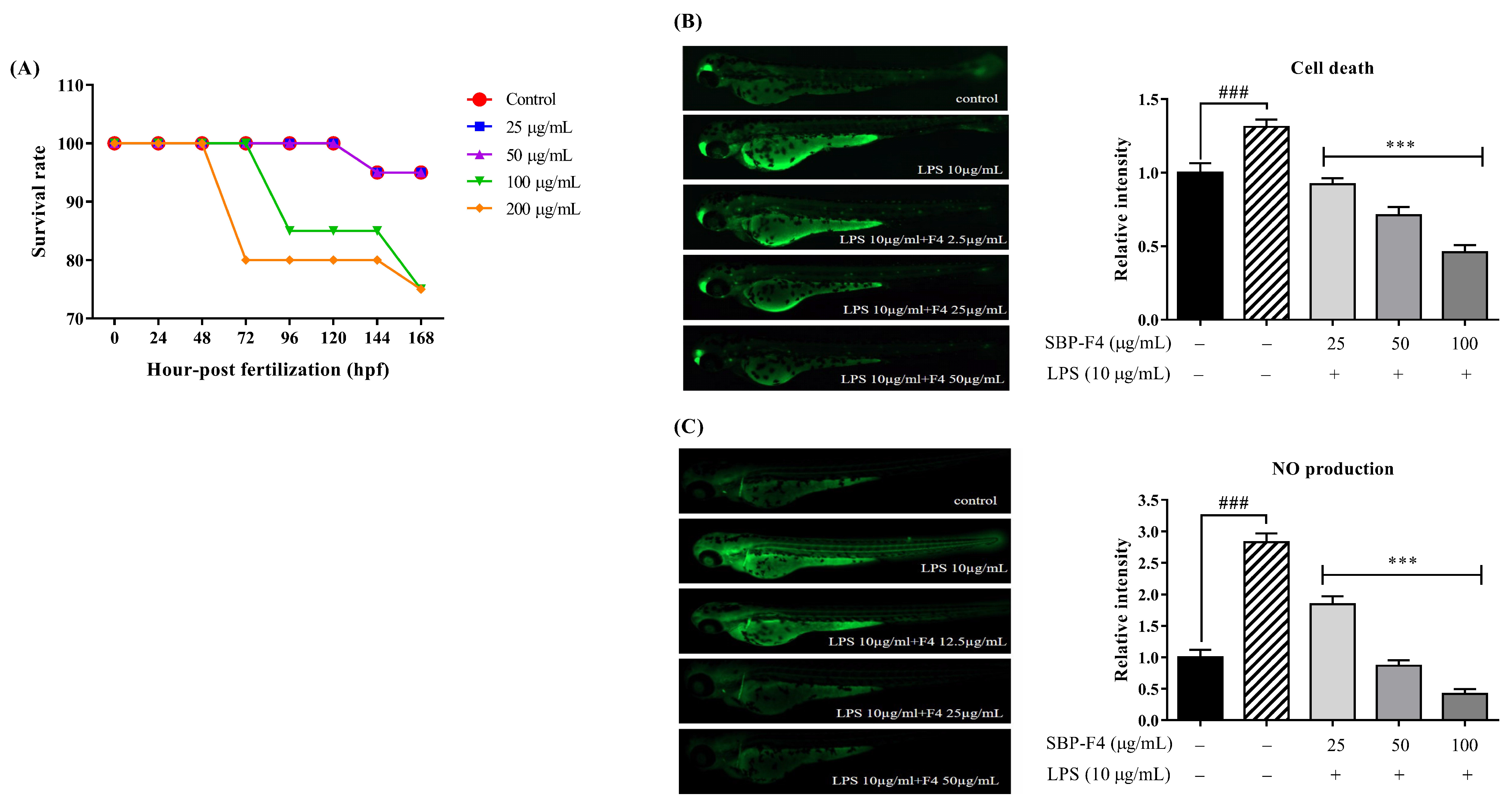 Antioxidants 10 00822 g005