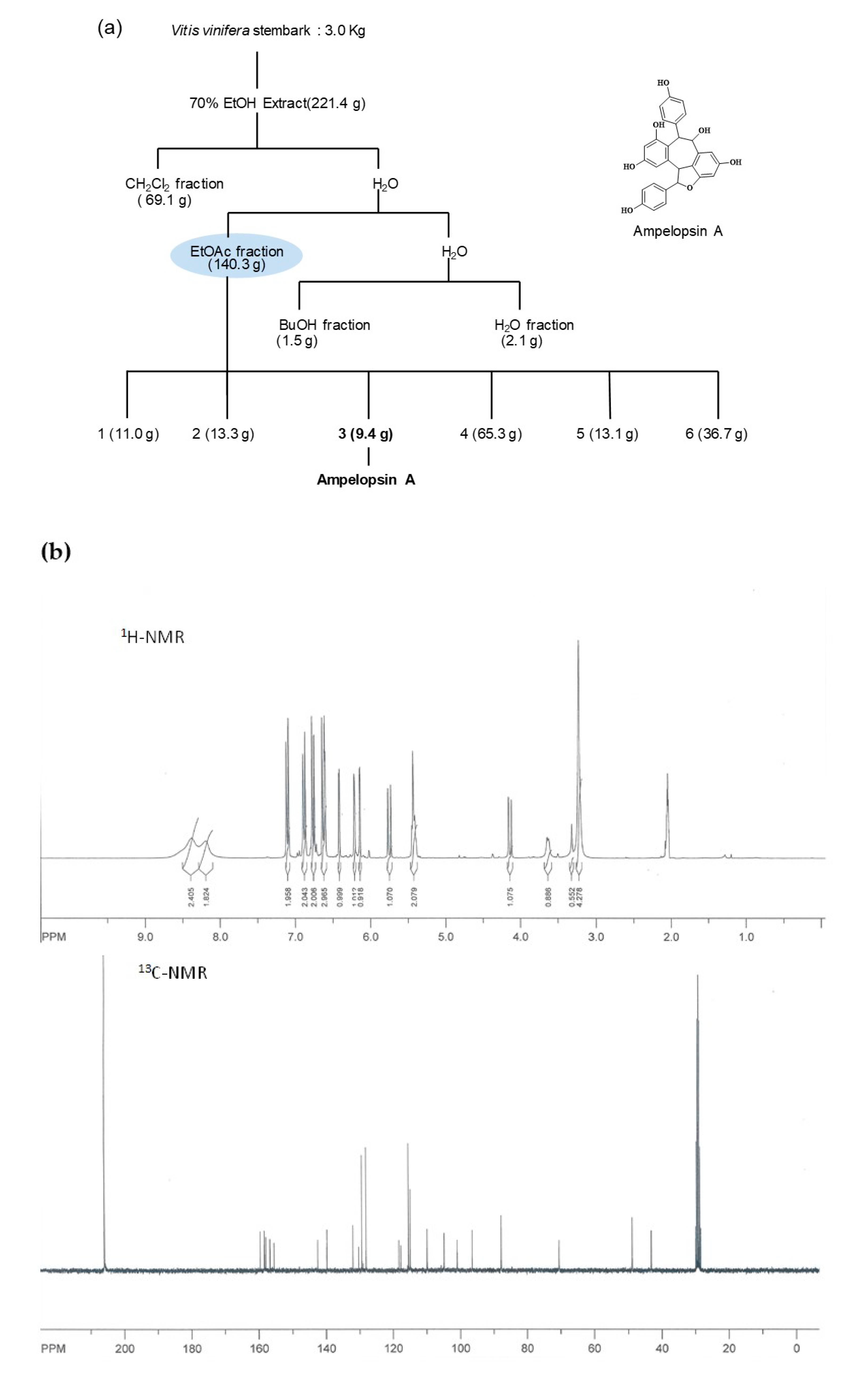 Antioxidants 10 00835 g001a Antioxidants 10 00835 g001a