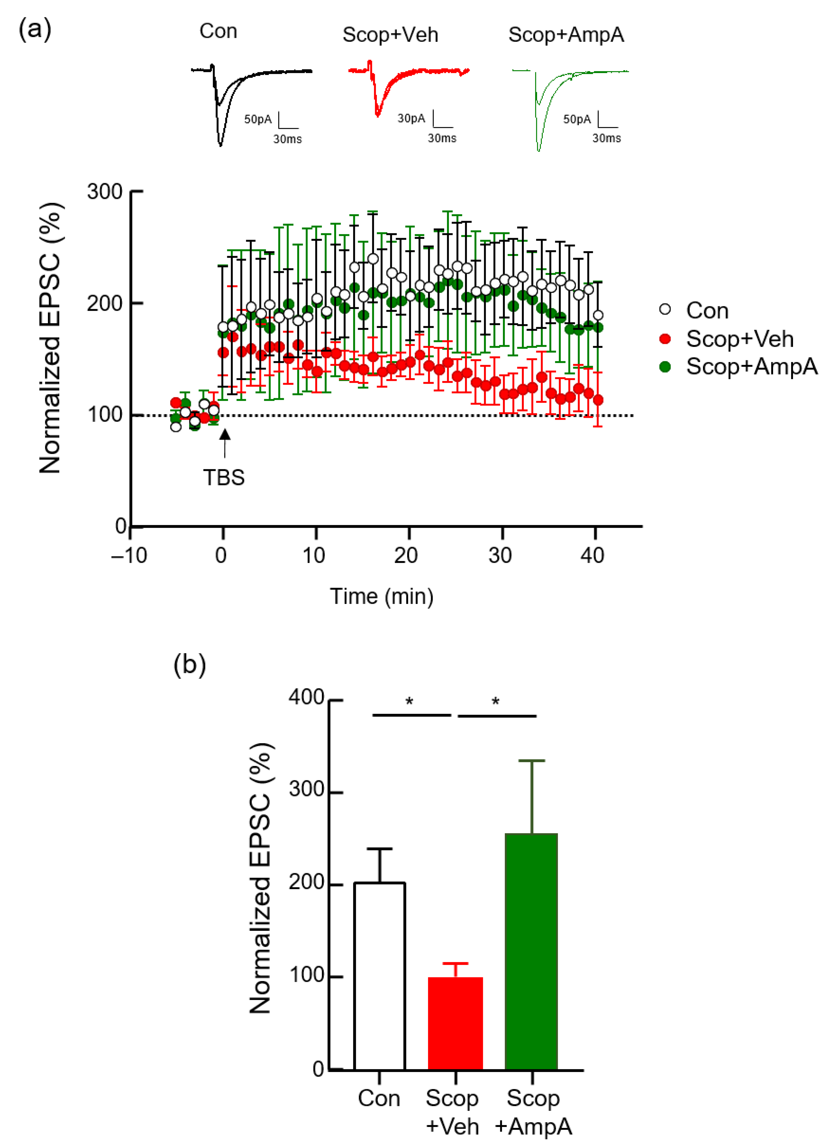 Antioxidants 10 00835 g002 Antioxidants 10 00835 g002