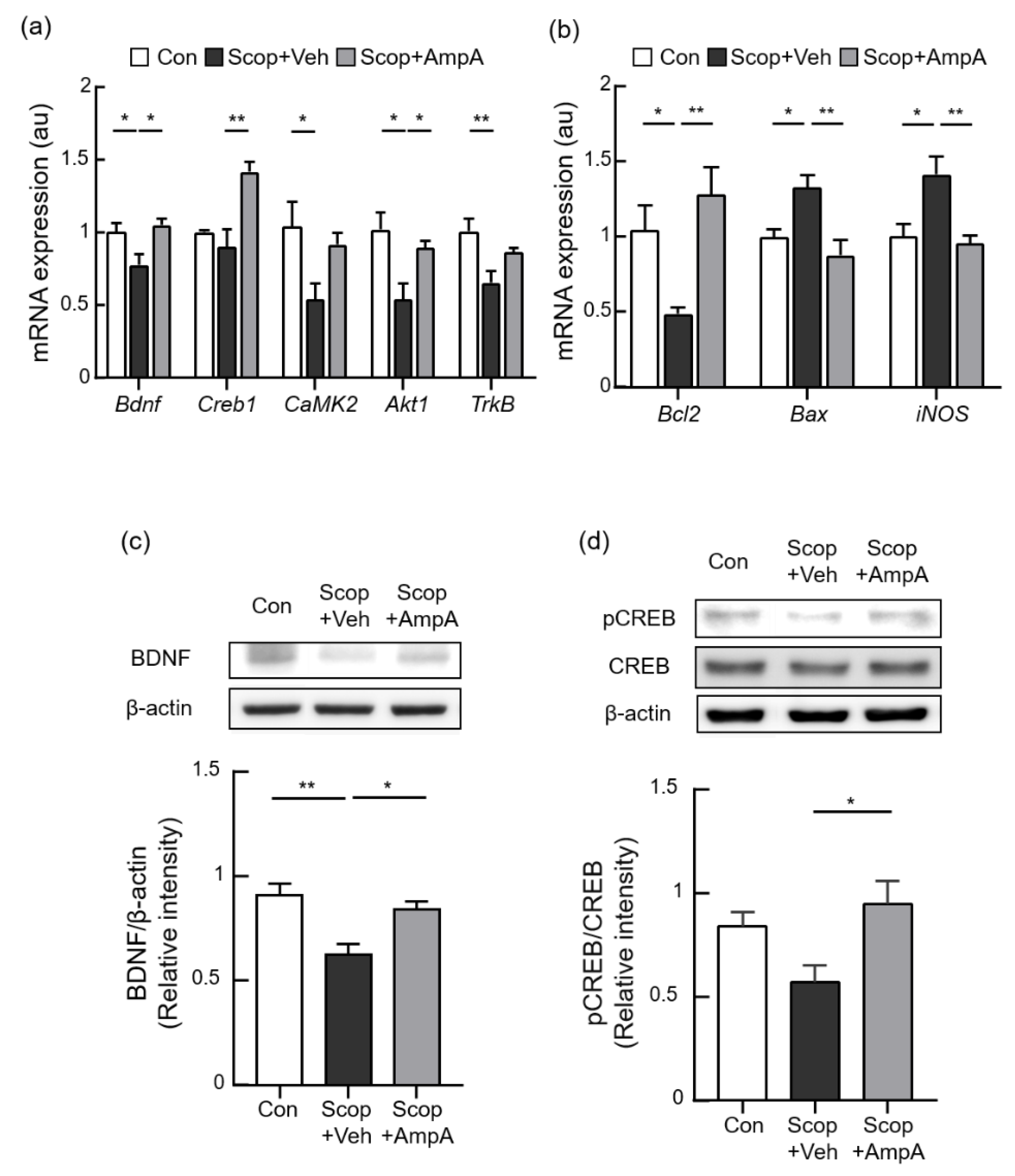 Antioxidants 10 00835 g006 Antioxidants 10 00835 g006