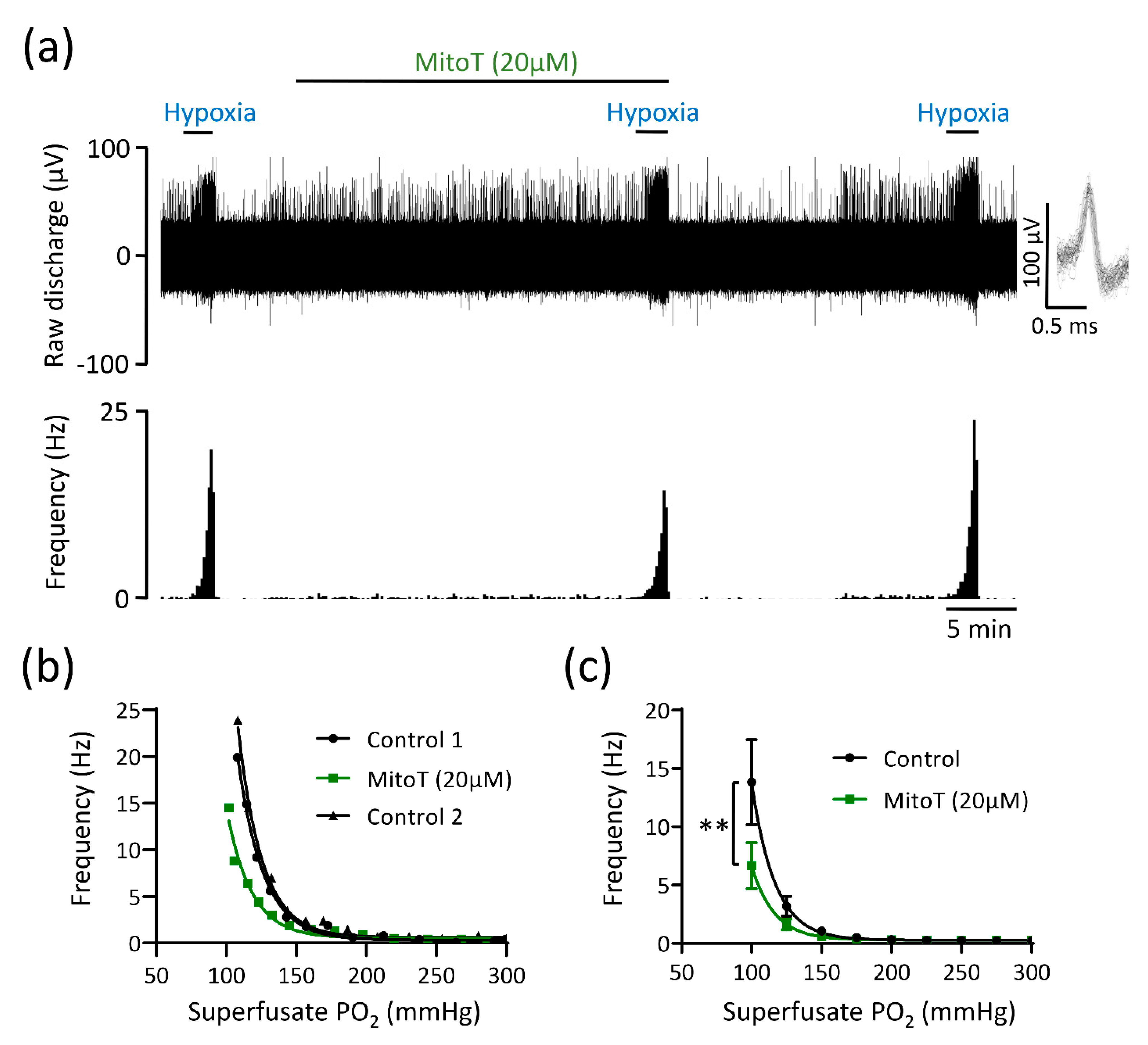 Antioxidants 10 00840 g005