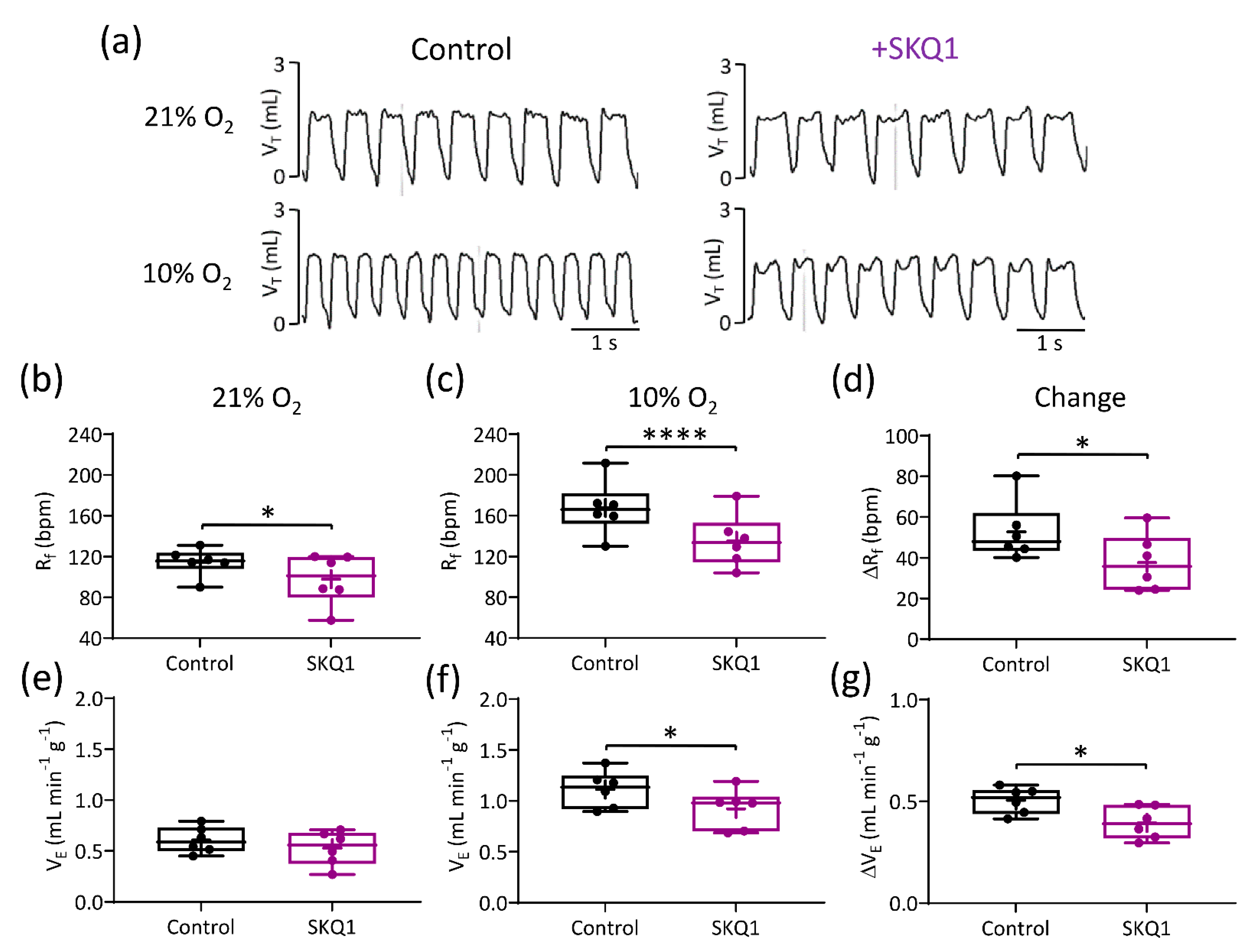 Antioxidants 10 00840 g008