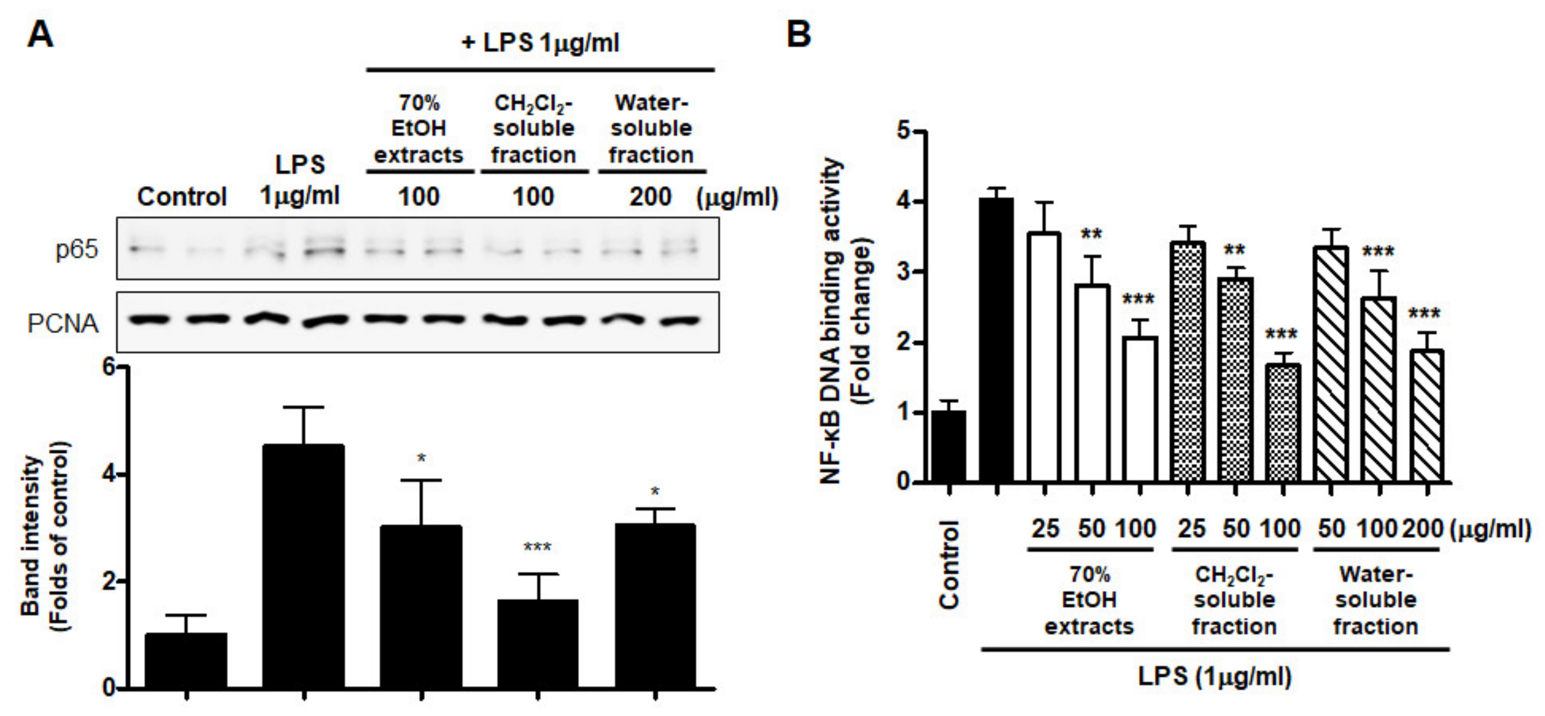 Antioxidants 10 00859 g009 Antioxidants 10 00859 g009