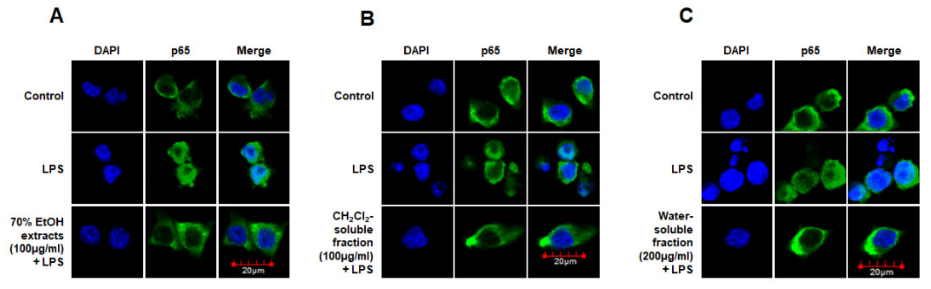 Antioxidants 10 00859 g010 Antioxidants 10 00859 g010
