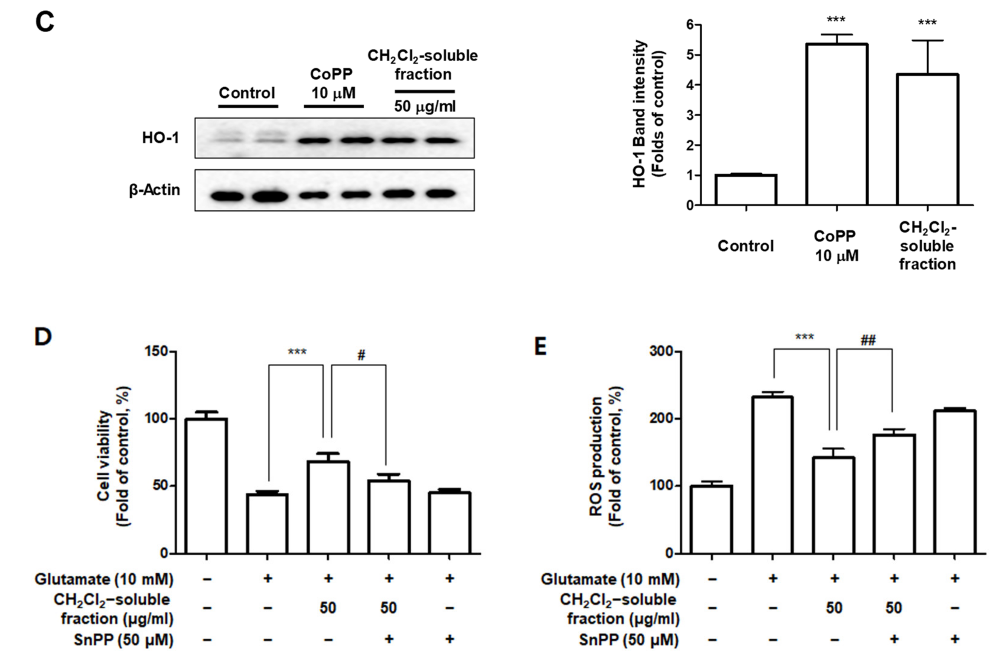 Antioxidants 10 00859 g013b Antioxidants 10 00859 g013b