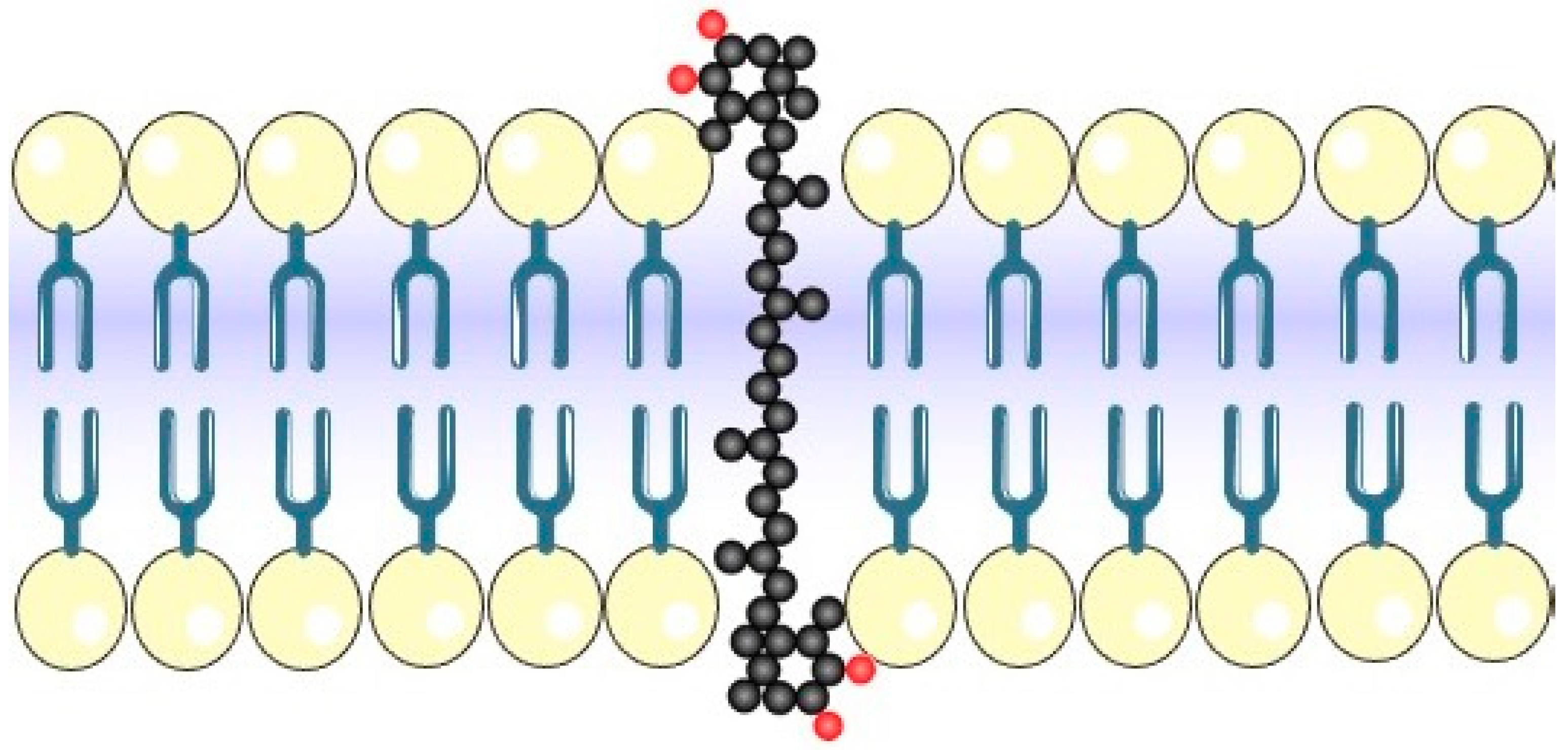 Antioxidants 10 00870 g002 Antioxidants 10 00870 g002