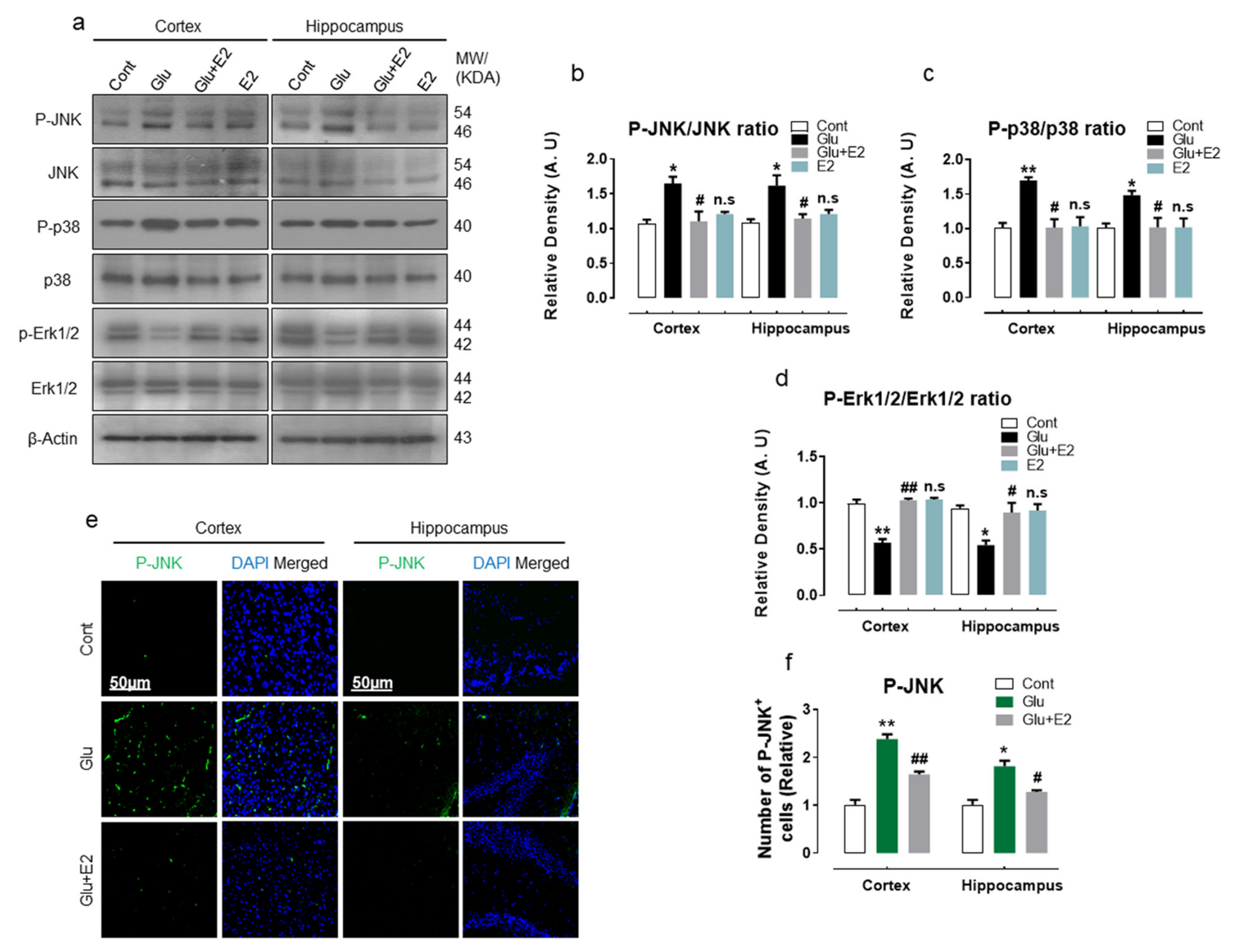 Antioxidants 10 00892 g006