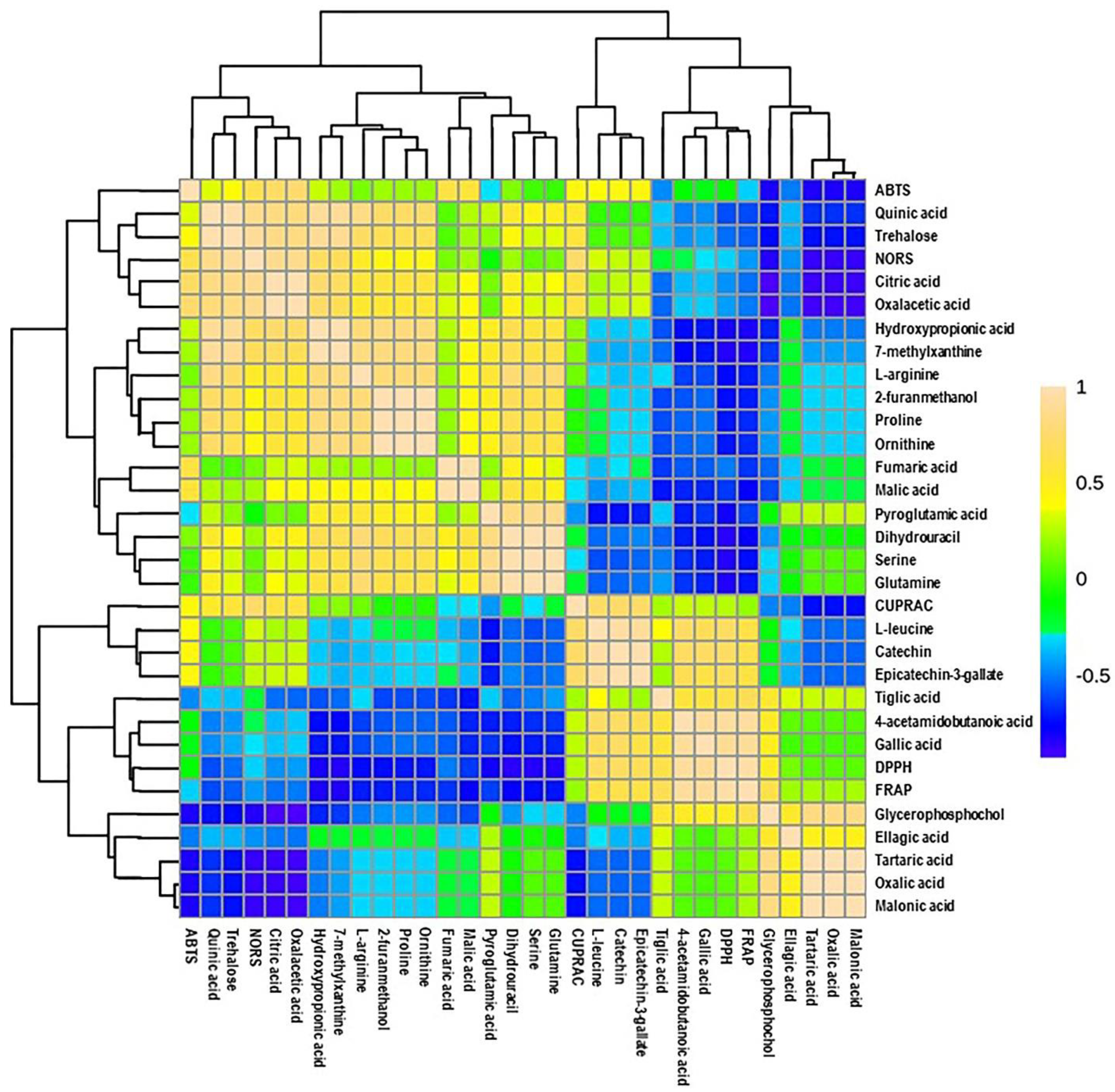 Antioxidants 10 00914 g006 Antioxidants 10 00914 g006