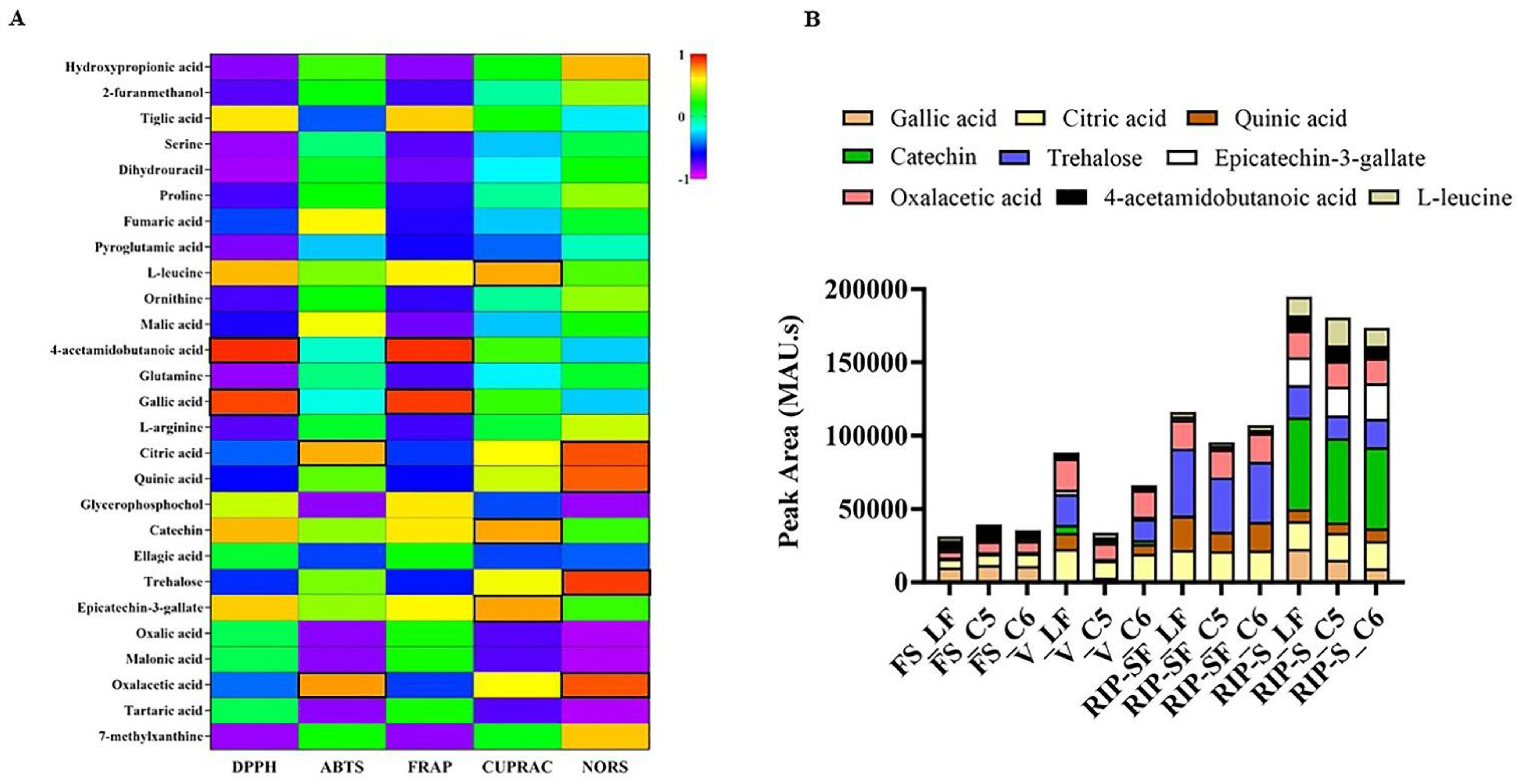 Antioxidants 10 00914 g007 Antioxidants 10 00914 g007