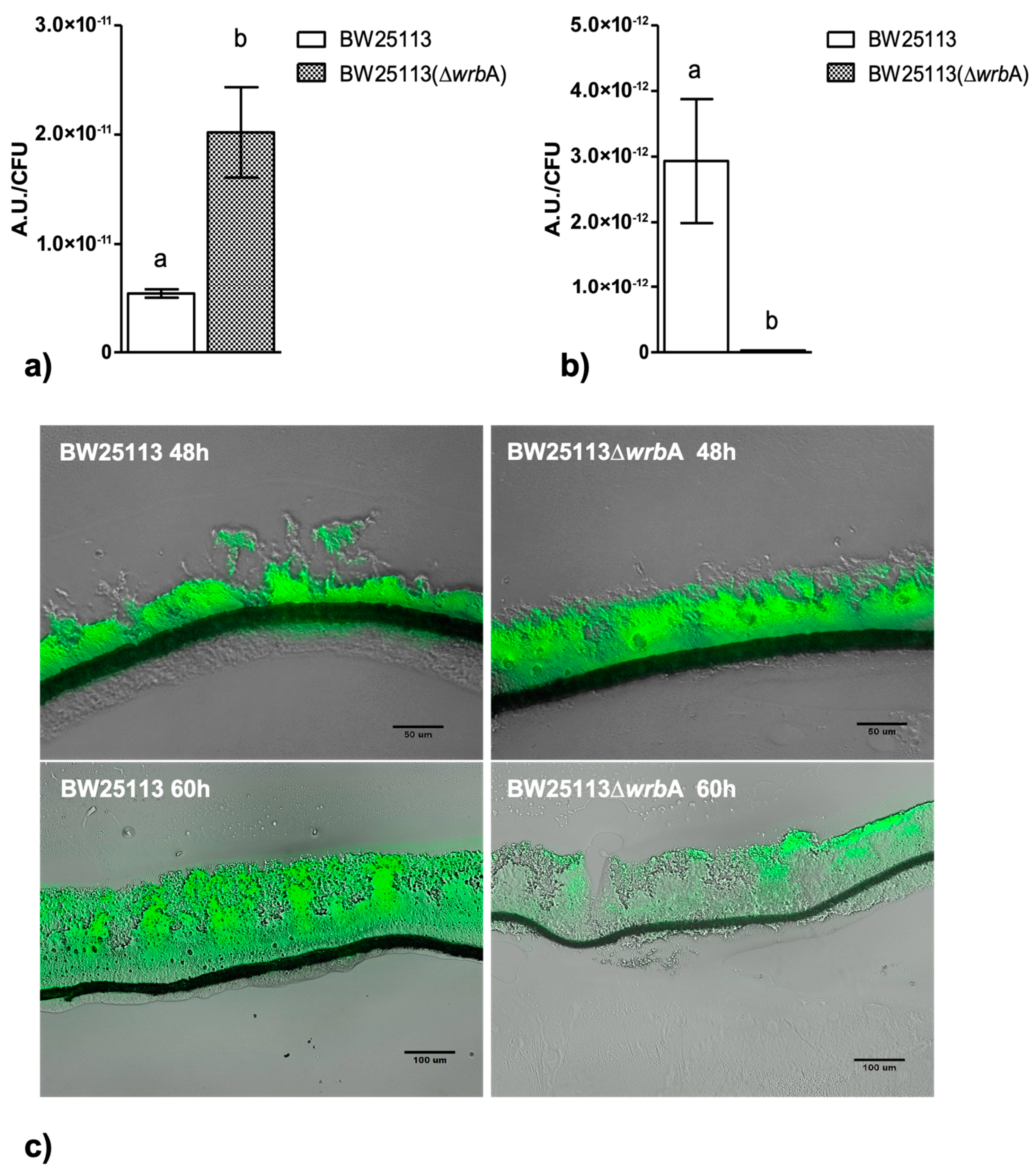 Antioxidants 10 00919 g004