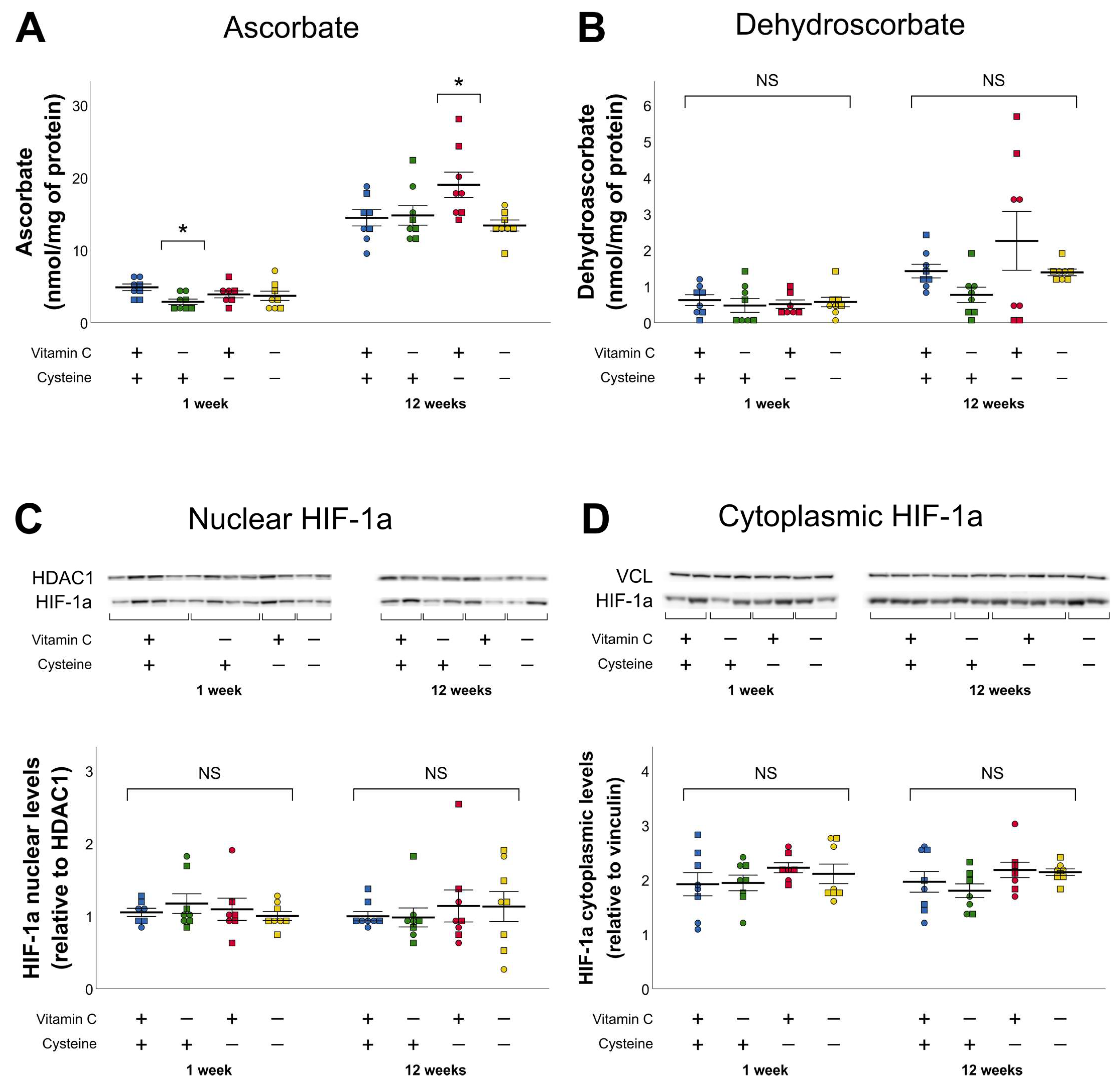 Antioxidants 10 00953 g002 Antioxidants 10 00953 g002