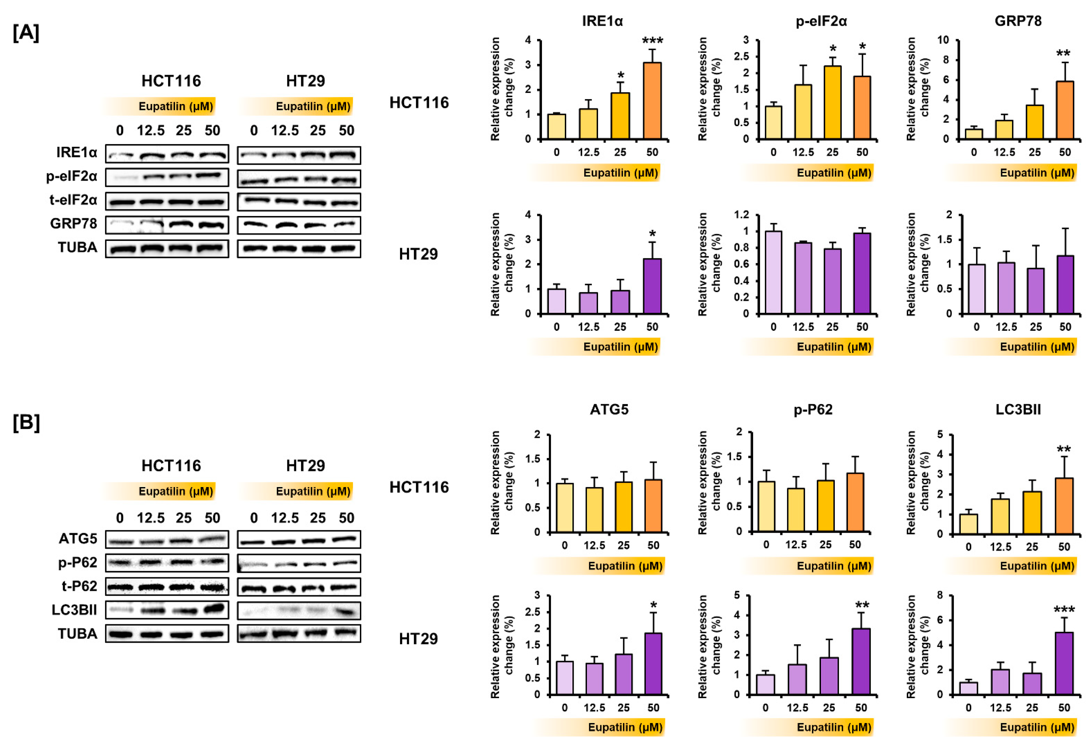 Antioxidants 10 00957 g005