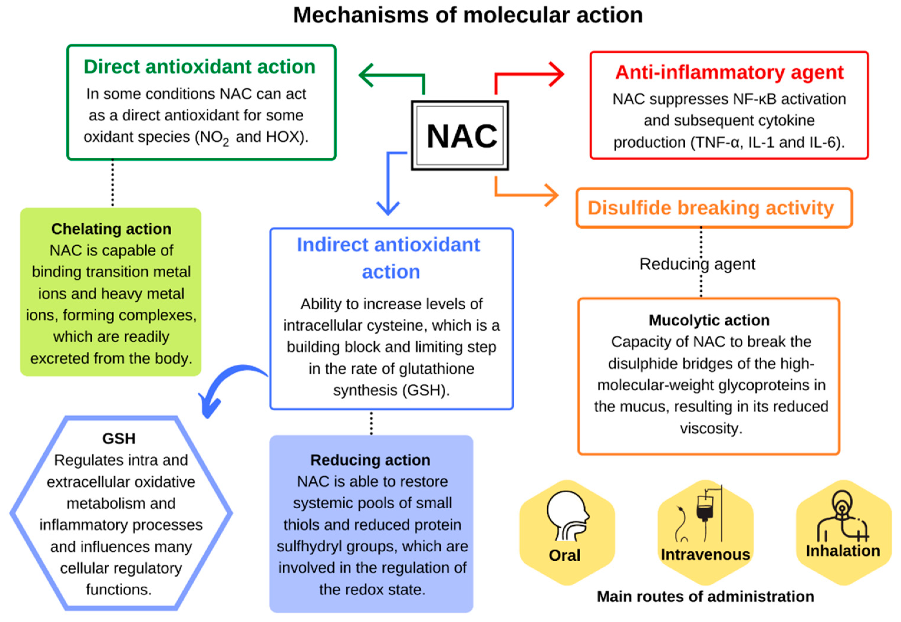 Antioxidants | Free Full-Text | N-Acetylcysteine (NAC): Impacts on Human  Health
