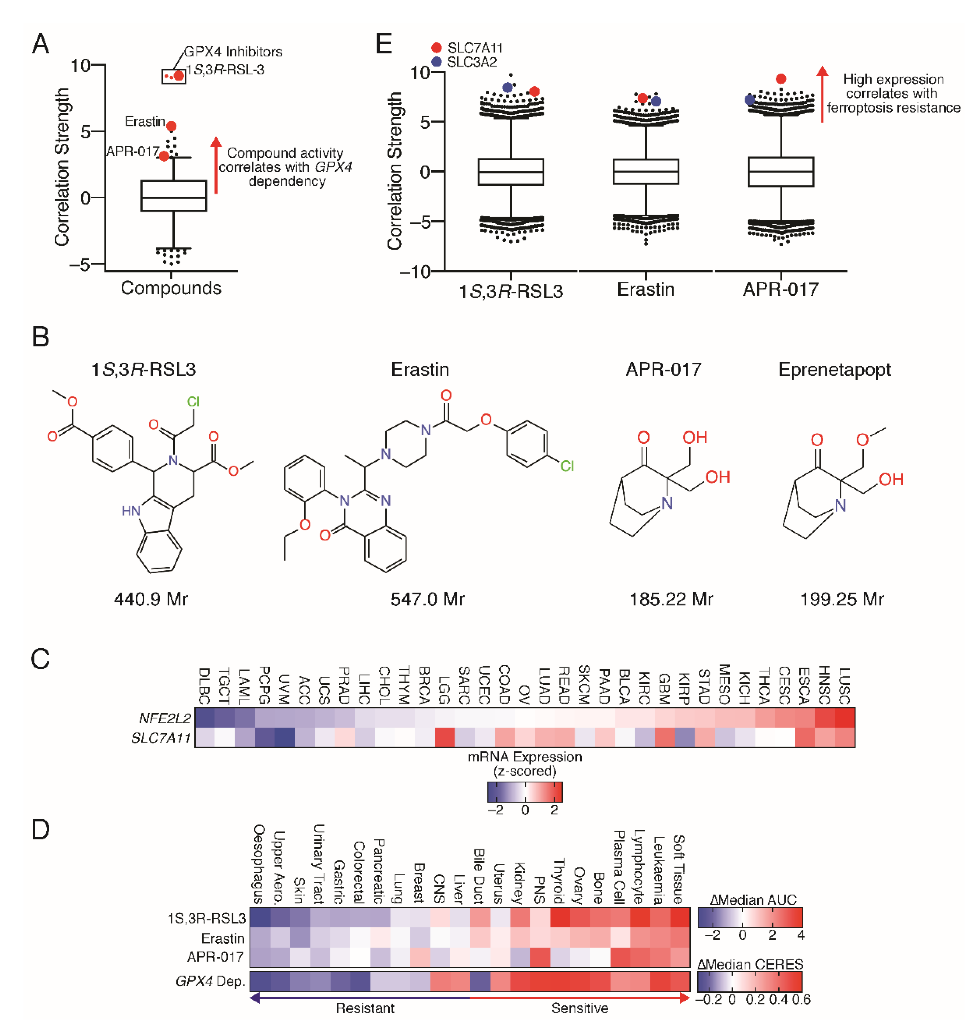 Antioxidants 10 00986 g002