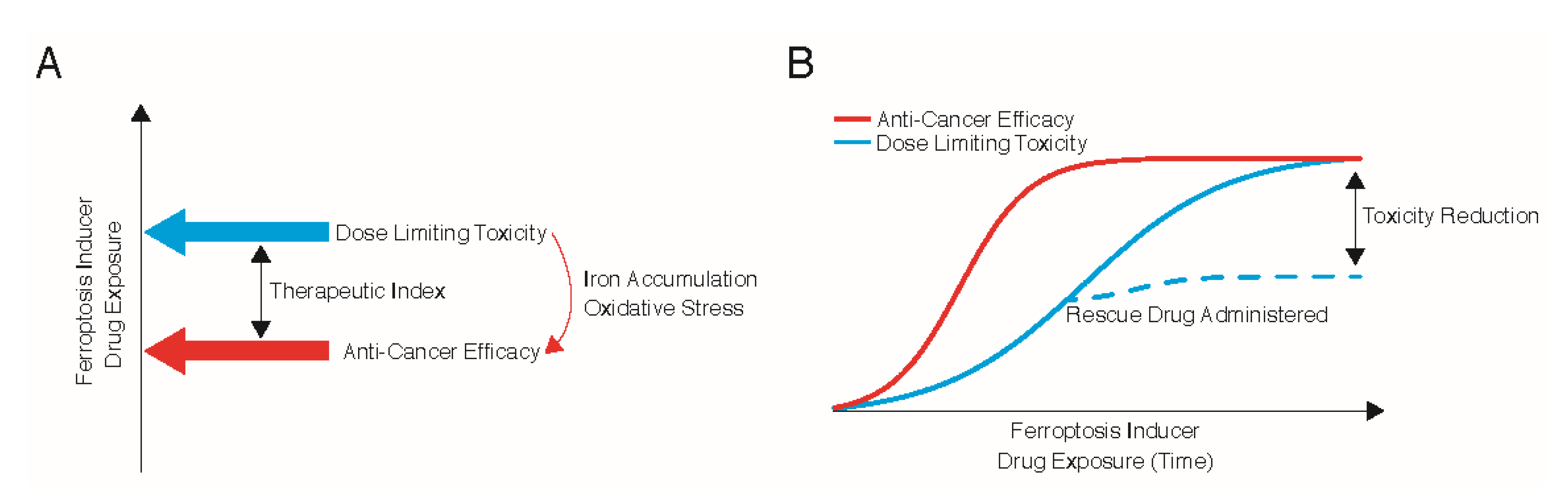 Antioxidants 10 00986 g003