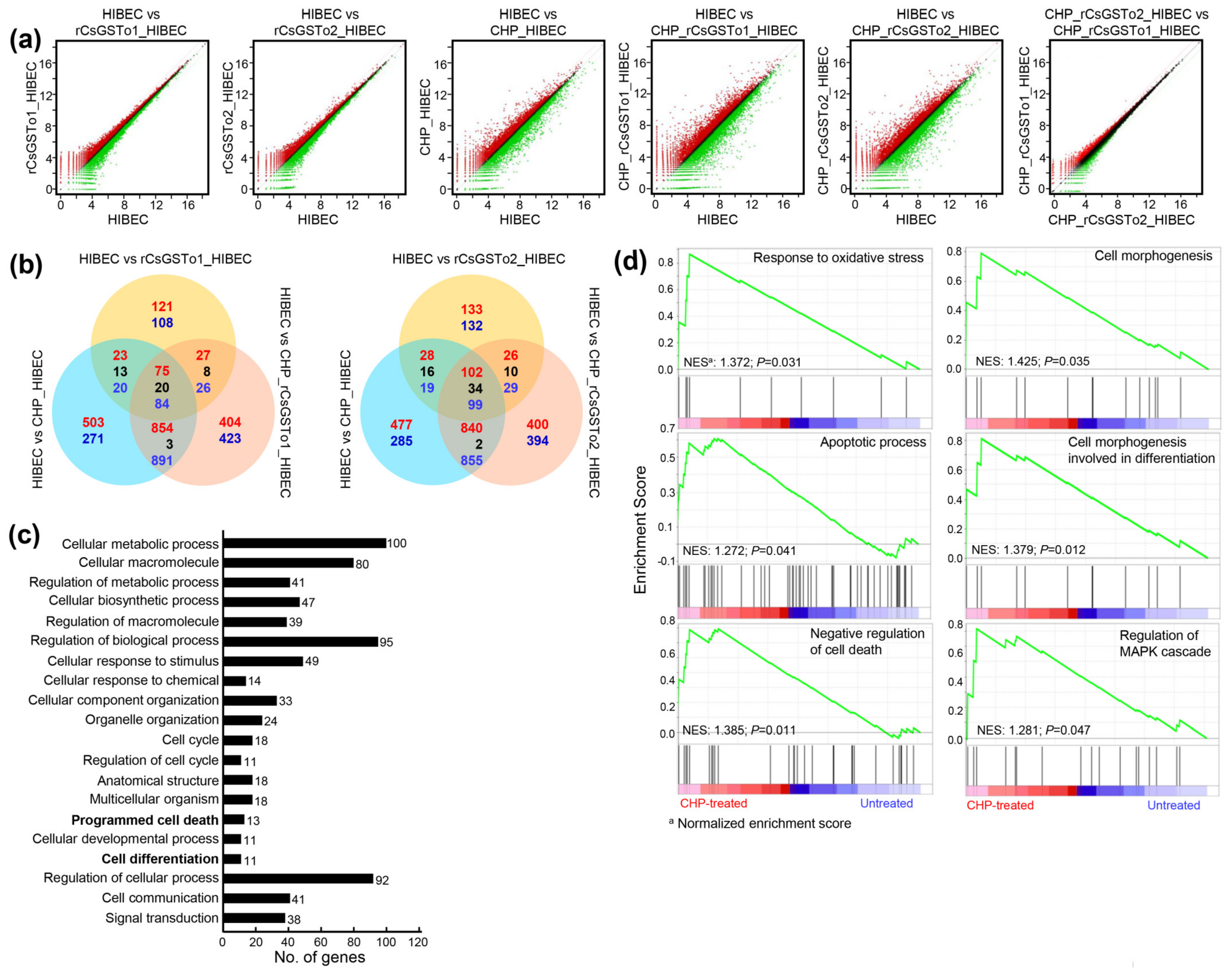 Antioxidants 10 01017 g003