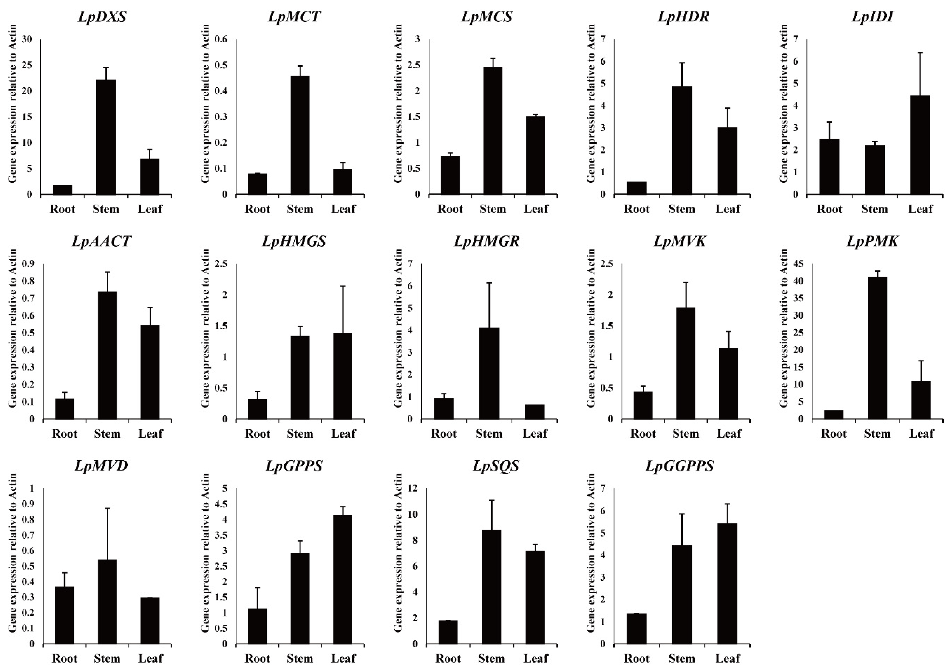 Antioxidants 10 01027 g004