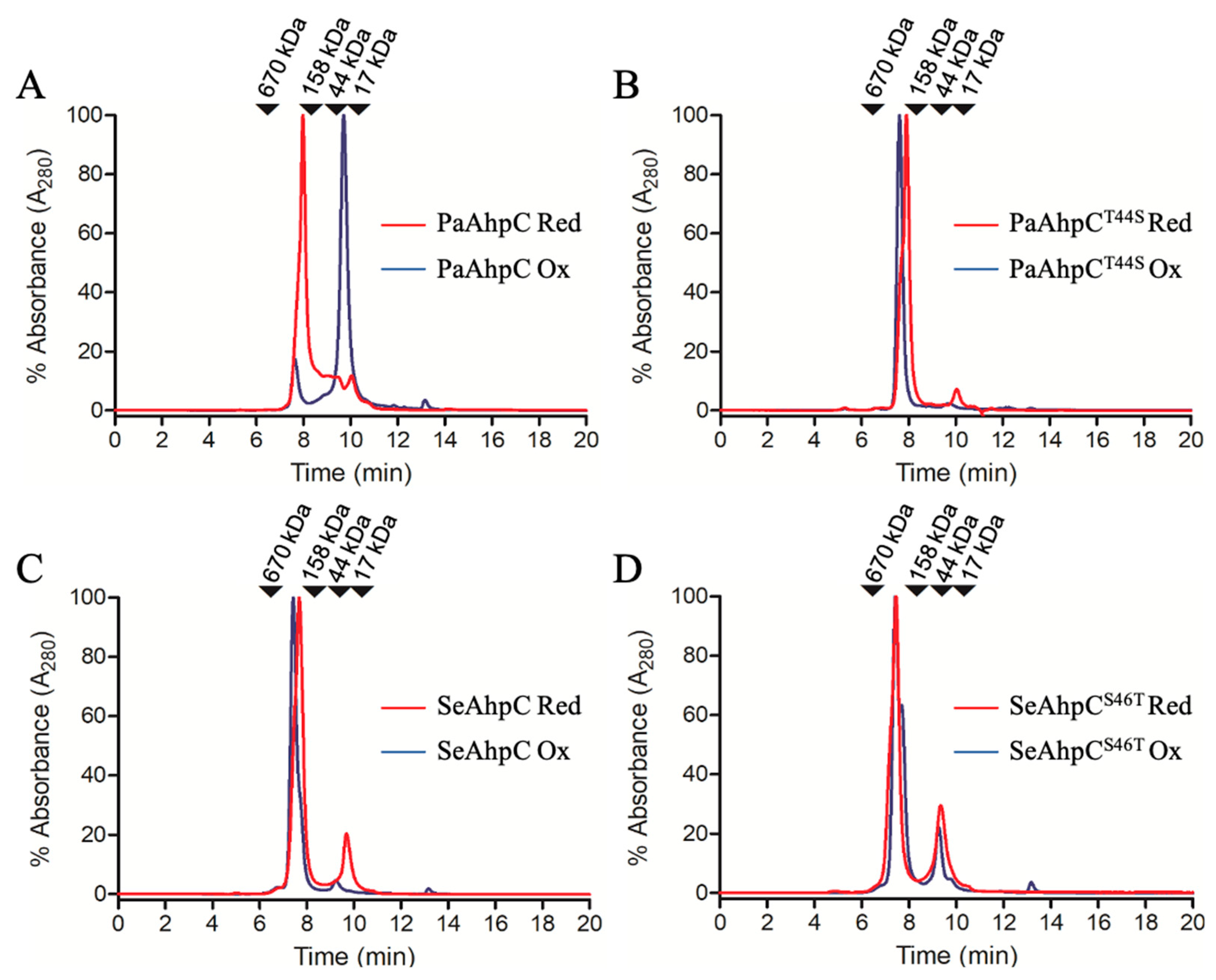 Antioxidants 10 01032 g005 Antioxidants 10 01032 g005