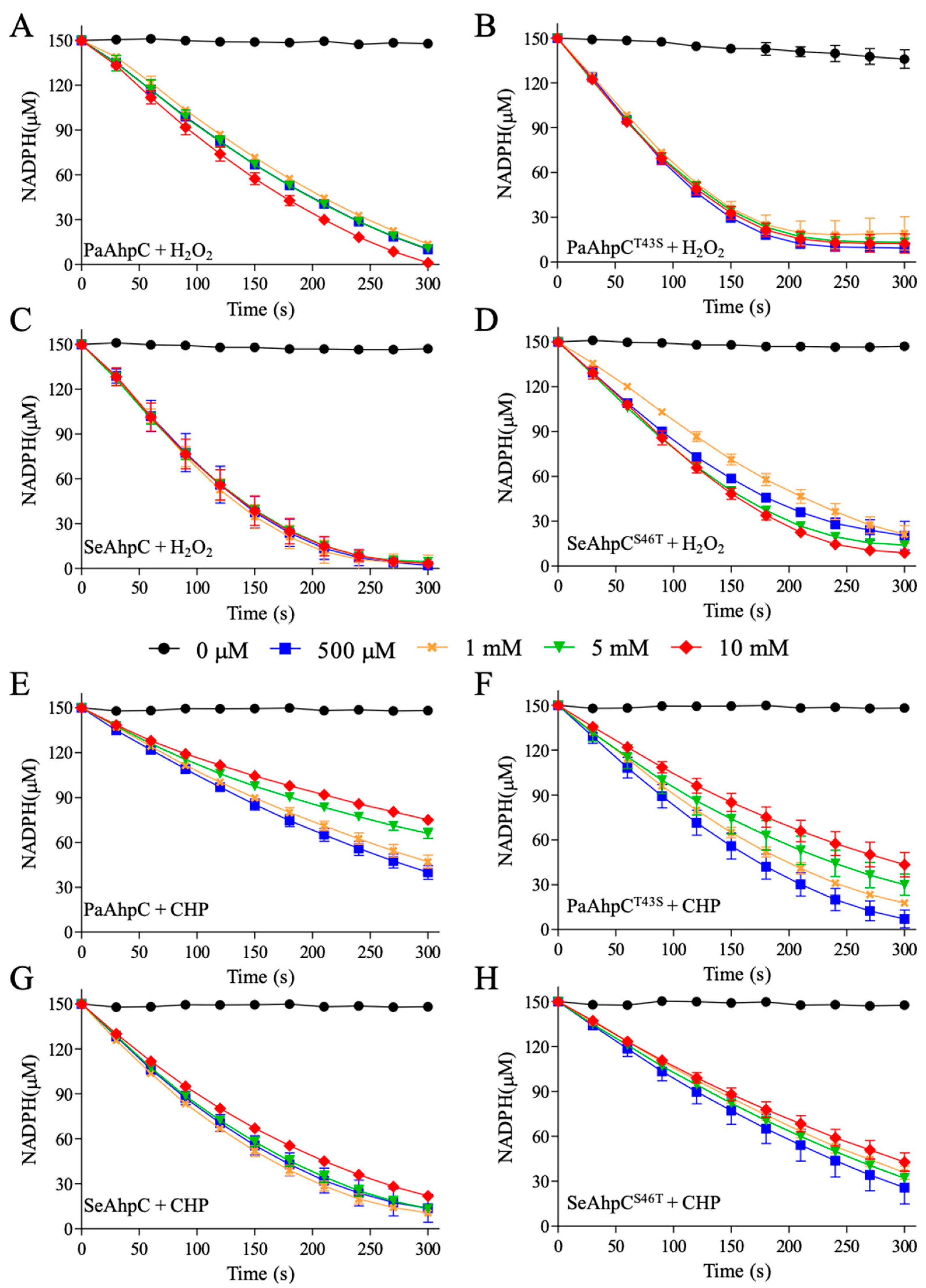 Antioxidants 10 01032 g006 Antioxidants 10 01032 g006