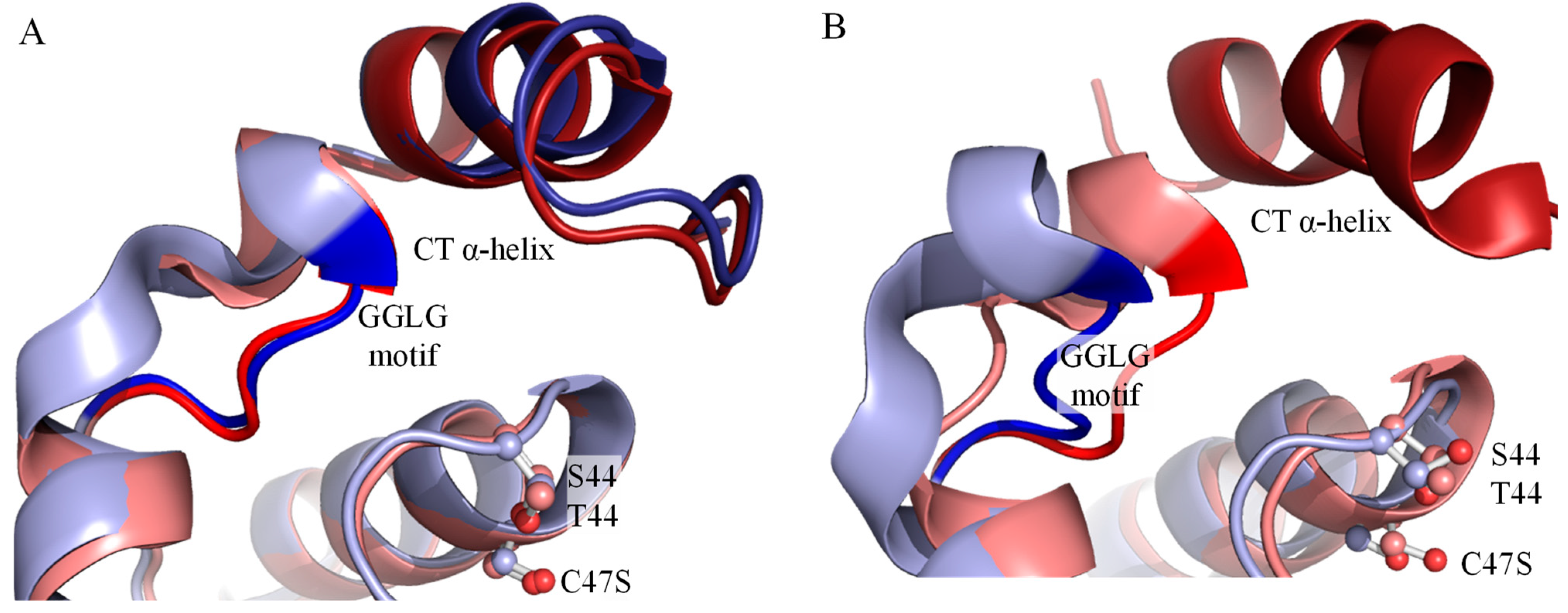 Antioxidants 10 01032 g011 Antioxidants 10 01032 g011