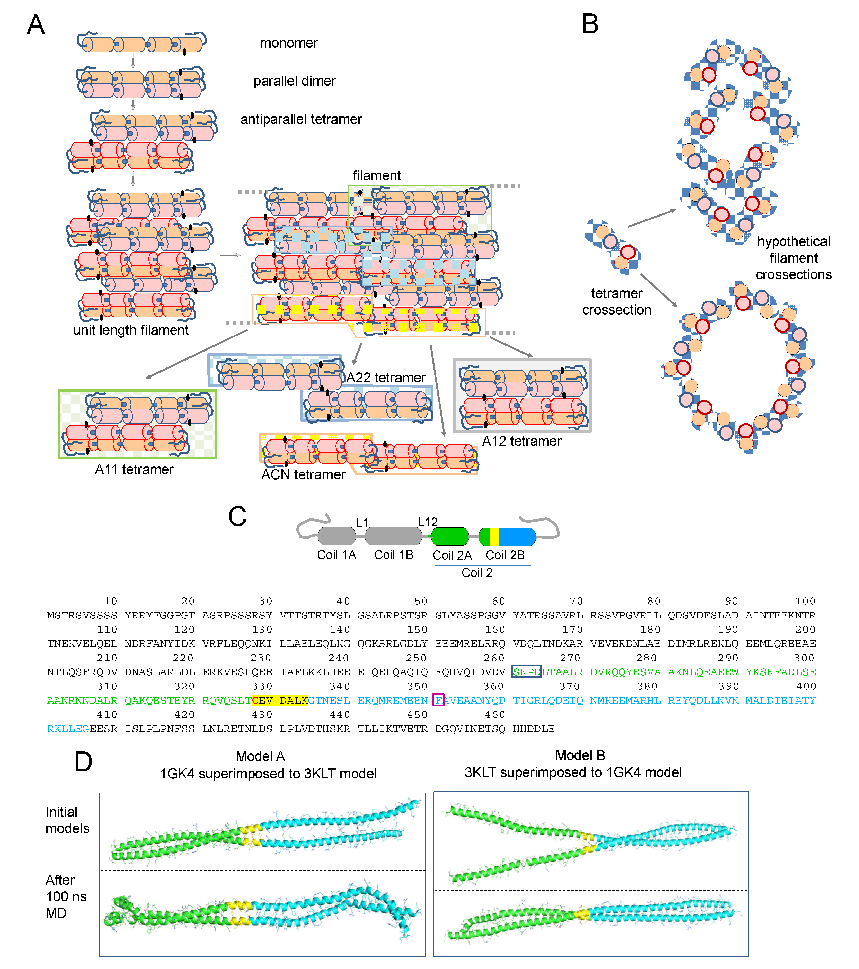 Antioxidants | Free Full-Text | Molecular Insight into the