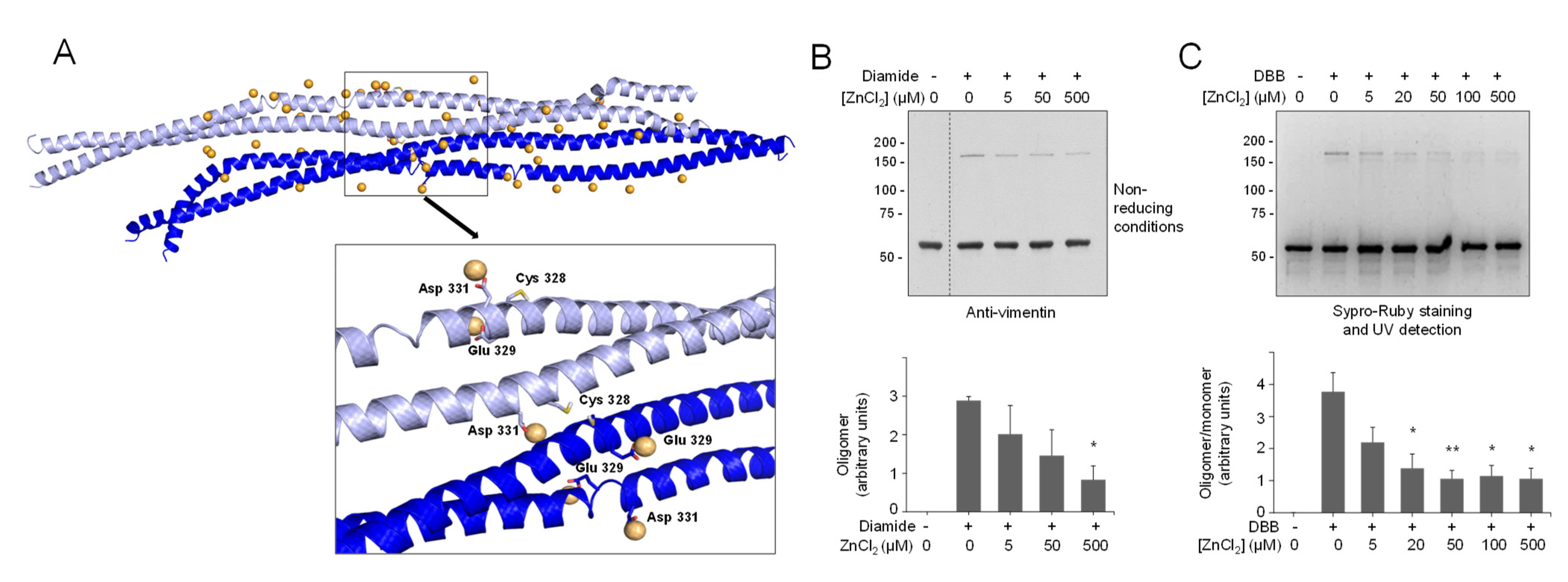 Antioxidants 10 01039 g005
