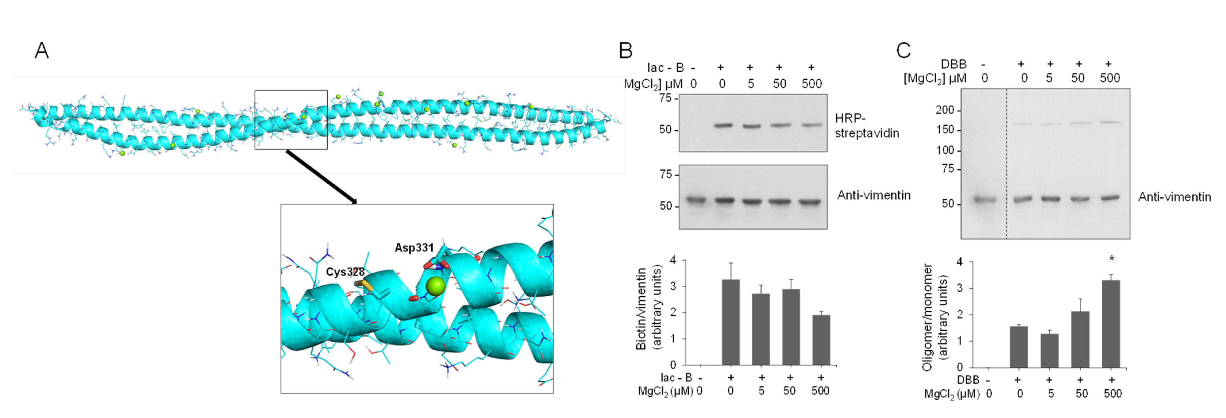 Antioxidants 10 01039 g007