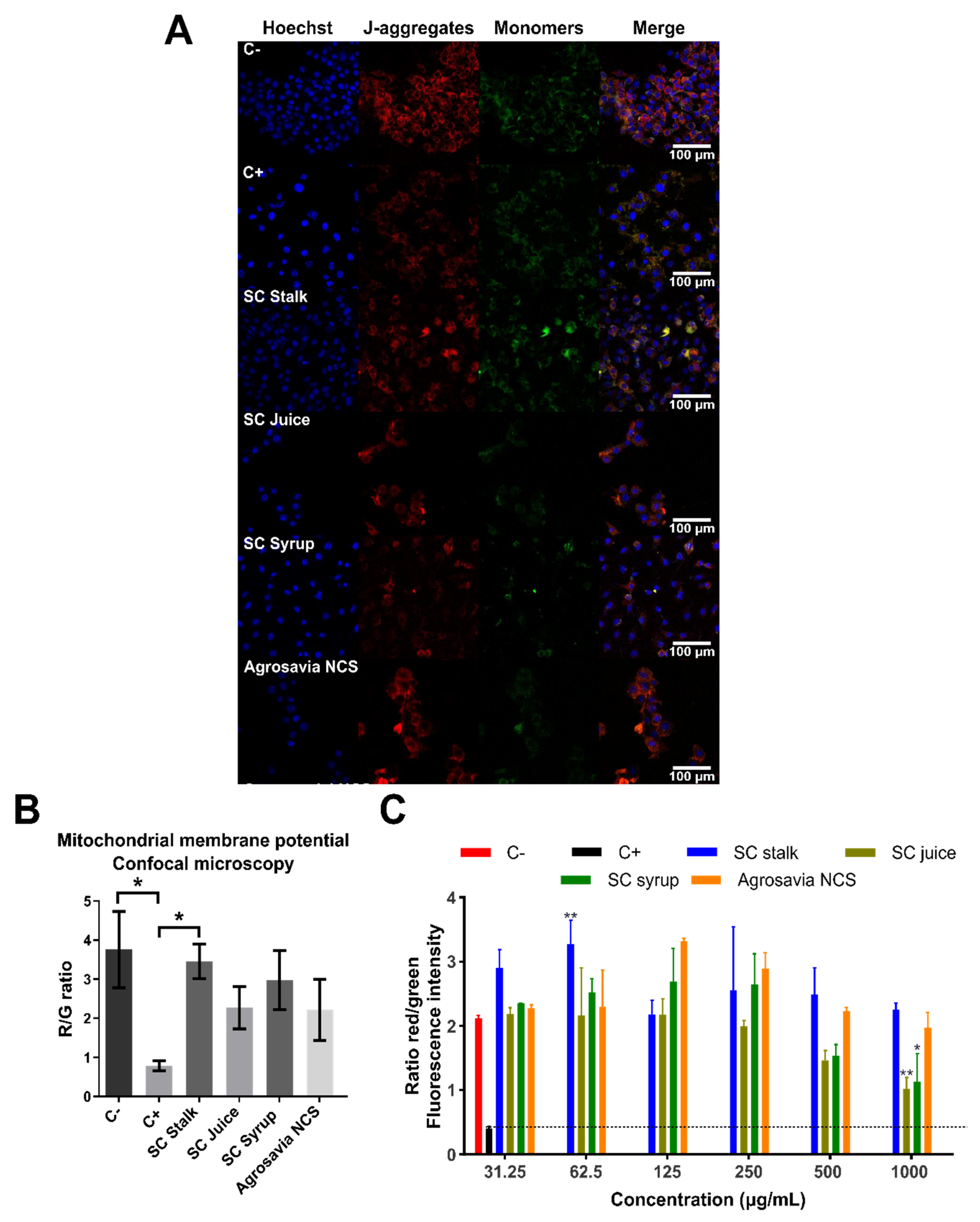 Antioxidants 10 01040 g003
