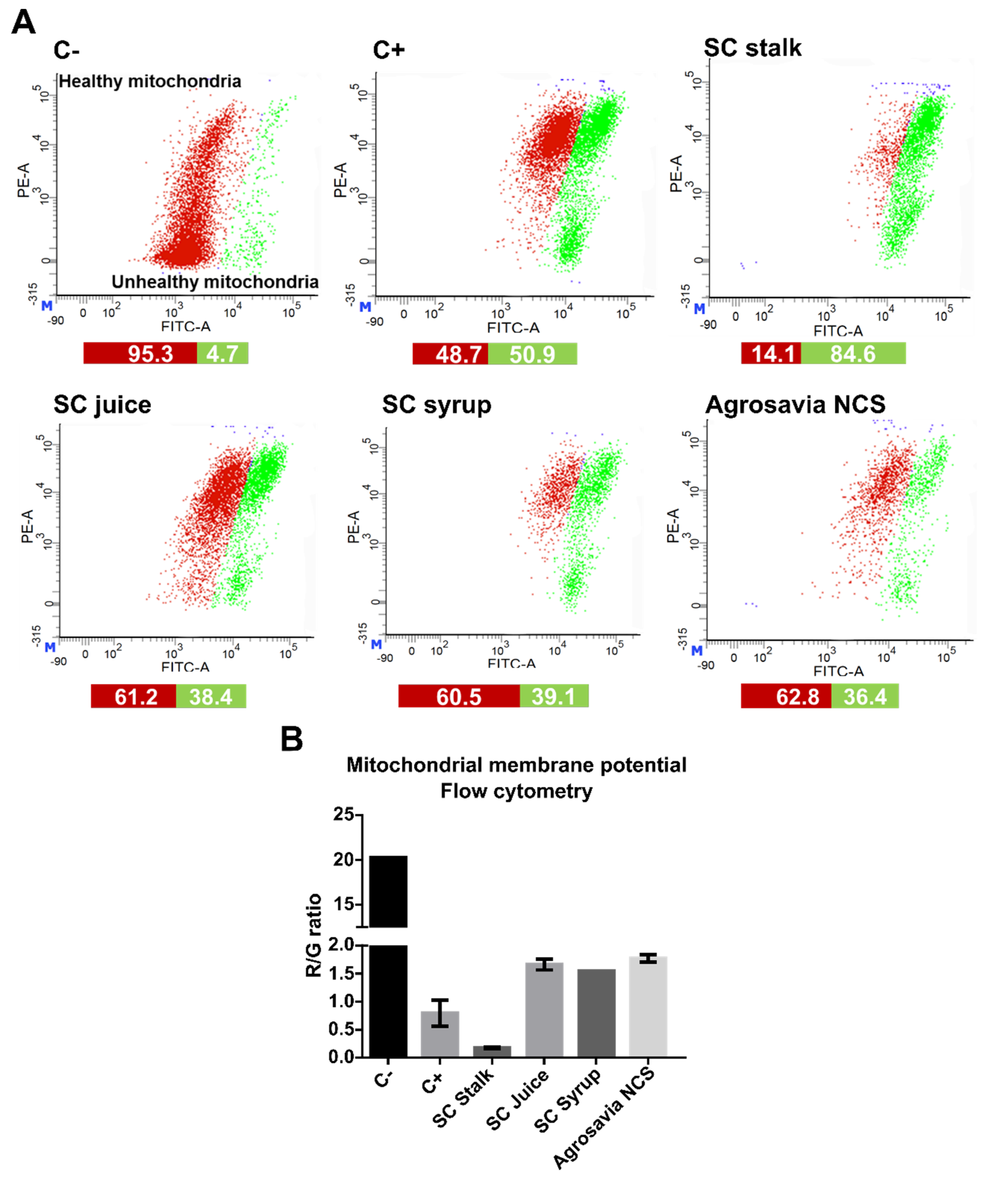 Antioxidants 10 01040 g004