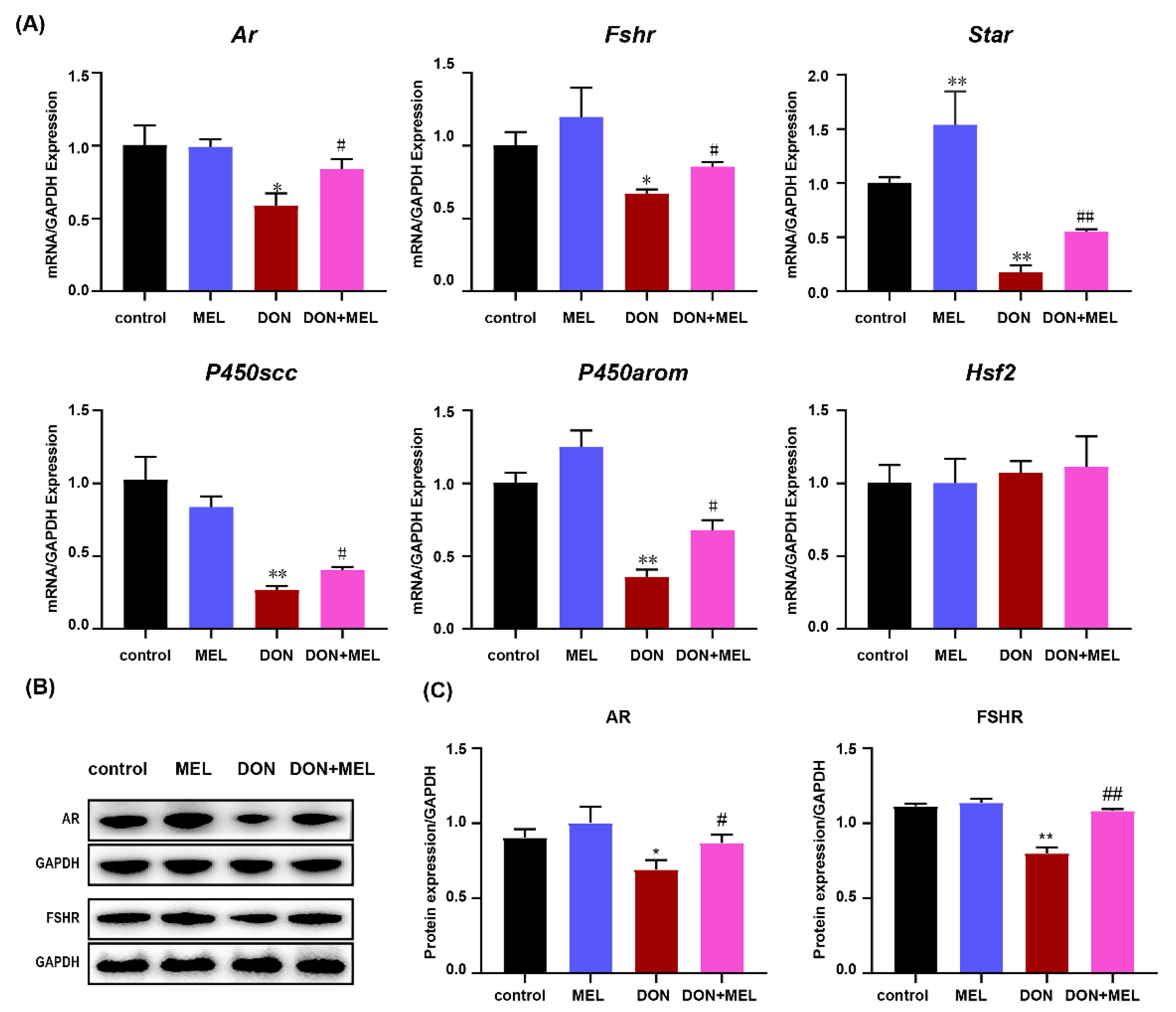 Antioxidants 10 01045 g005
