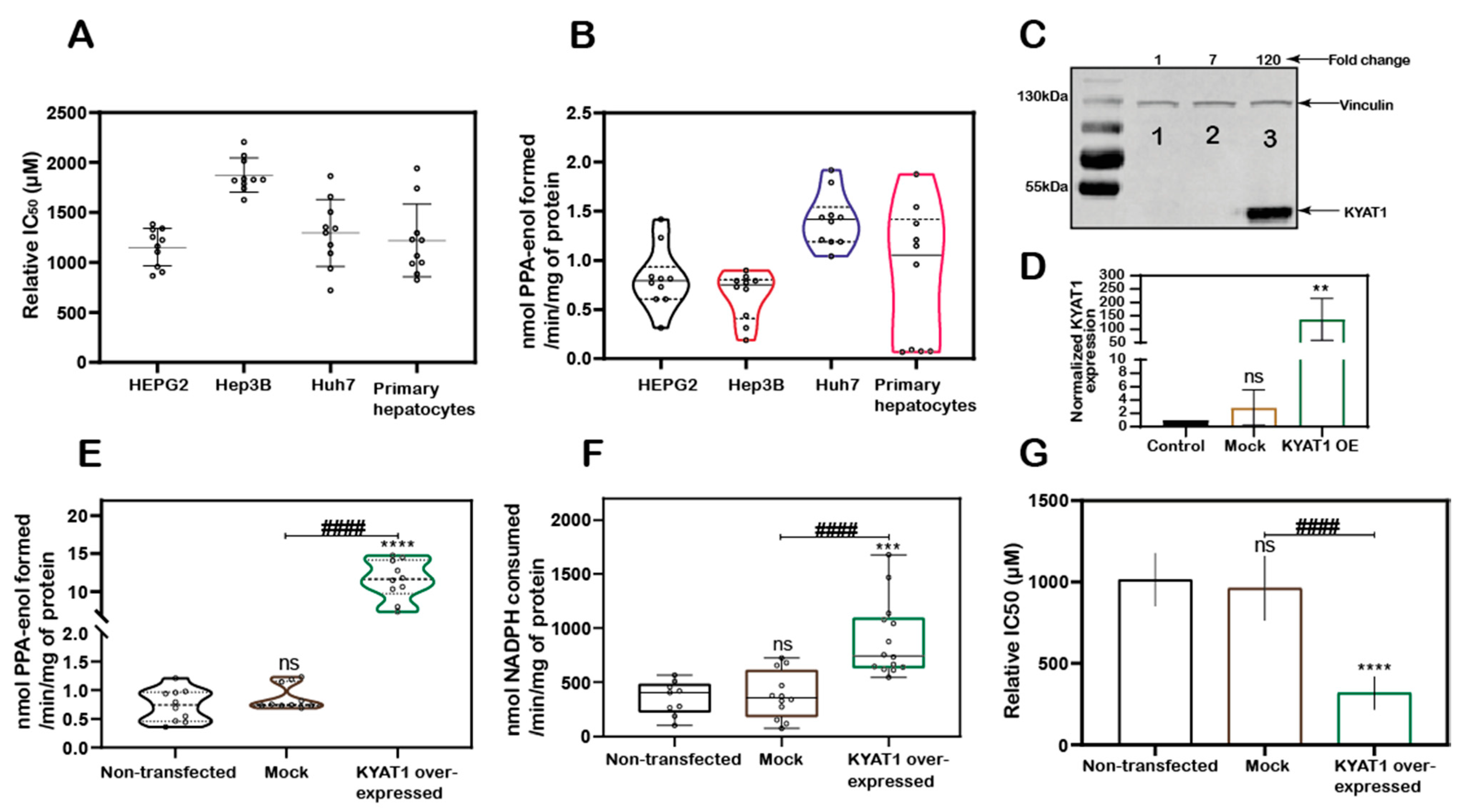 Antioxidants 10 01094 g001