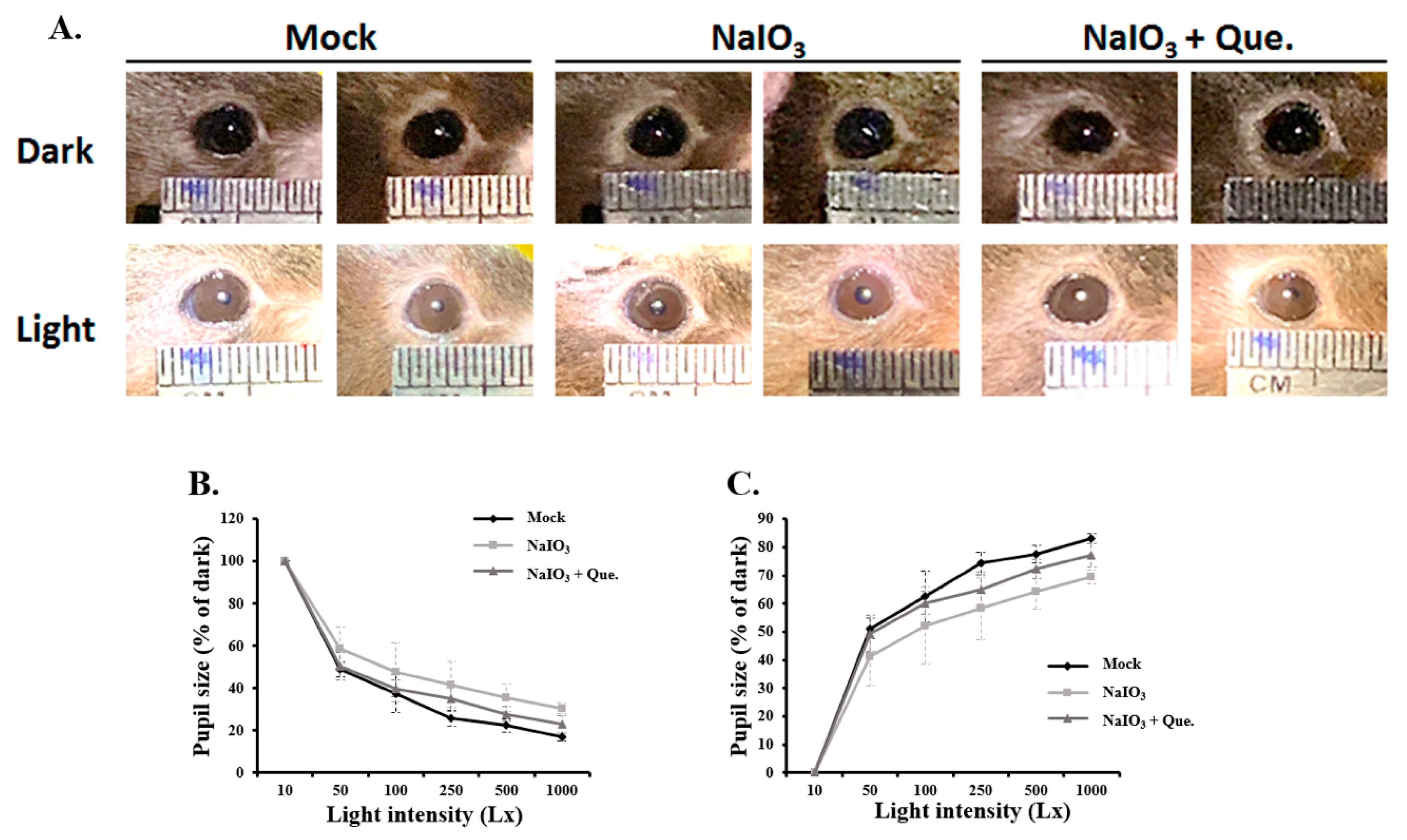 Antioxidants 10 01125 g002