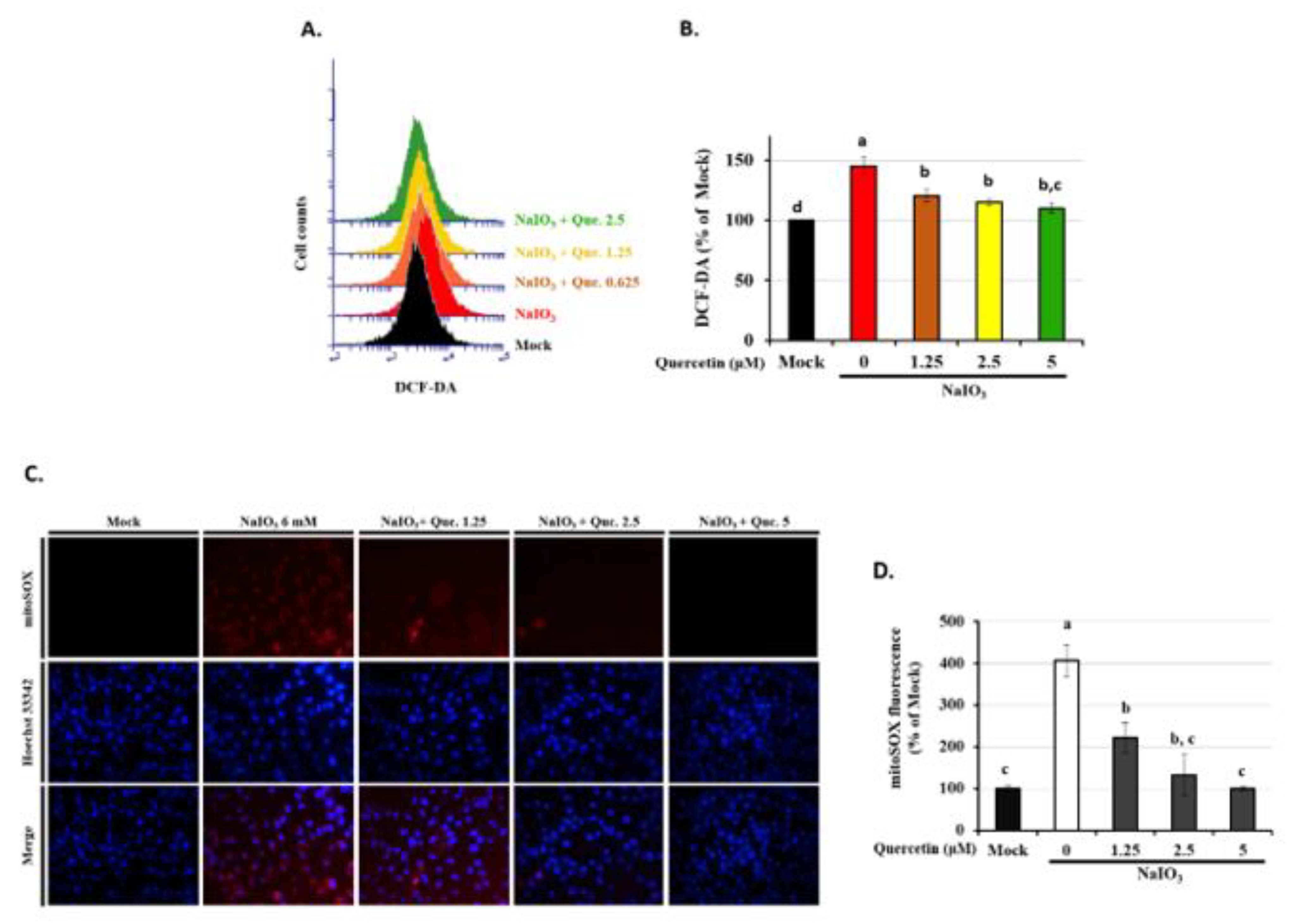 Antioxidants 10 01125 g005