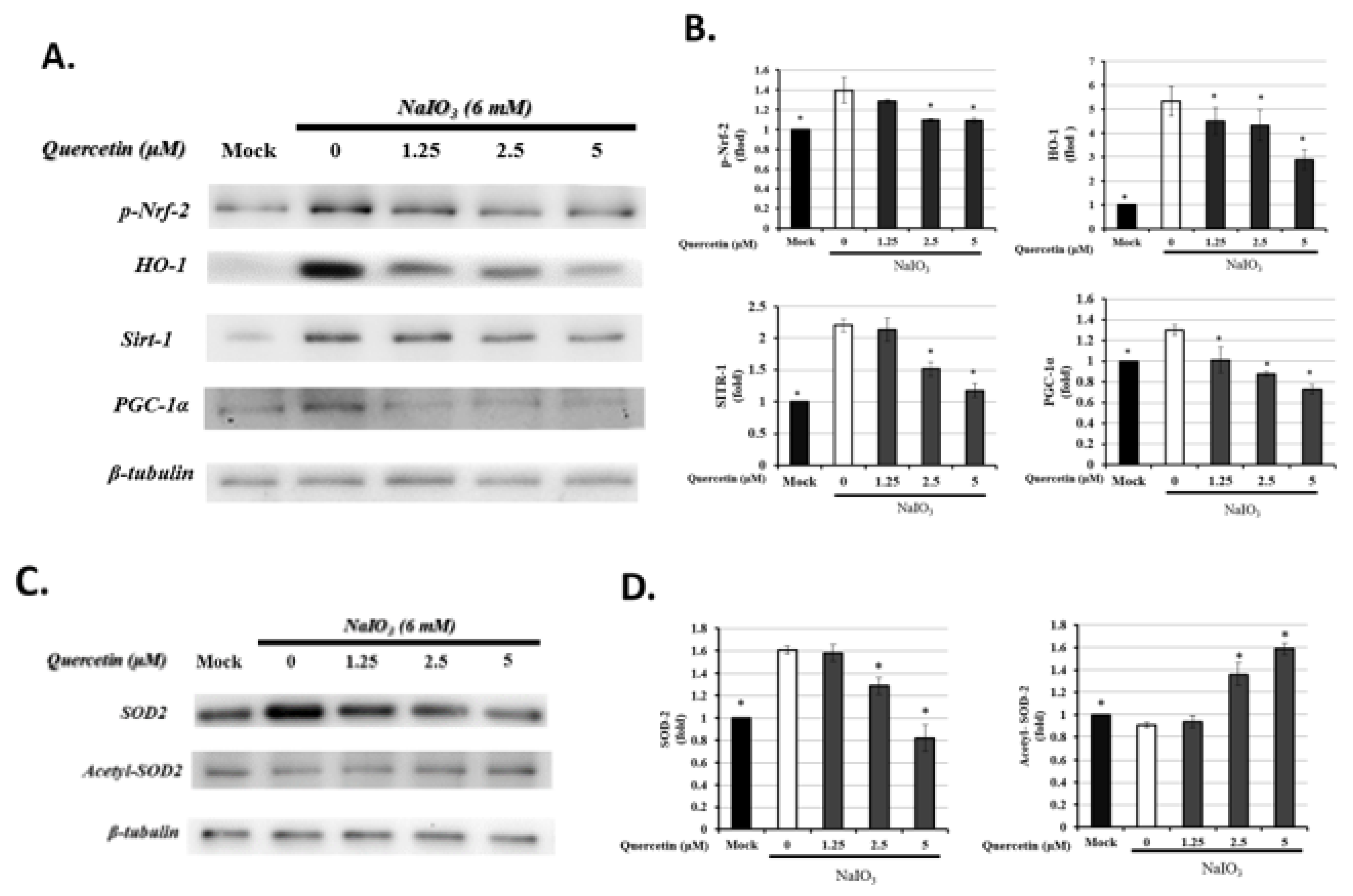 Antioxidants 10 01125 g006