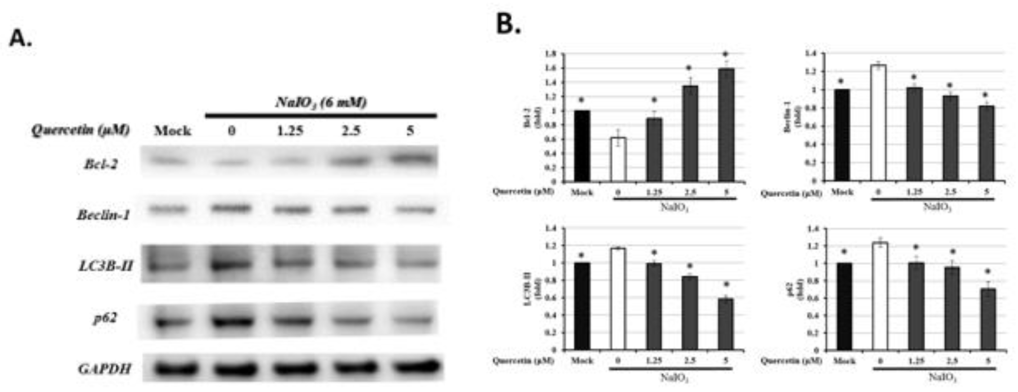 Antioxidants 10 01125 g007