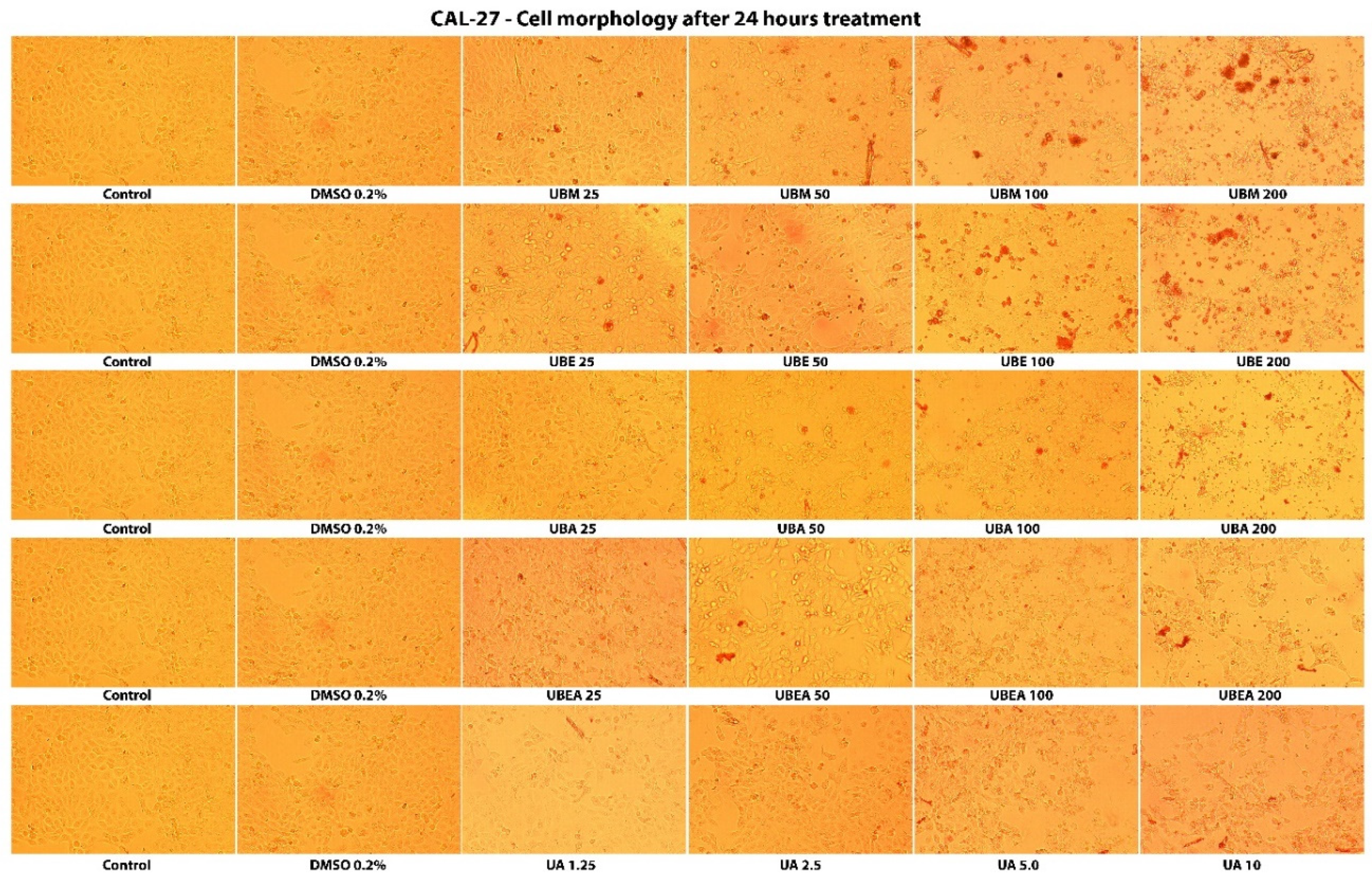Antioxidants 10 01141 g006