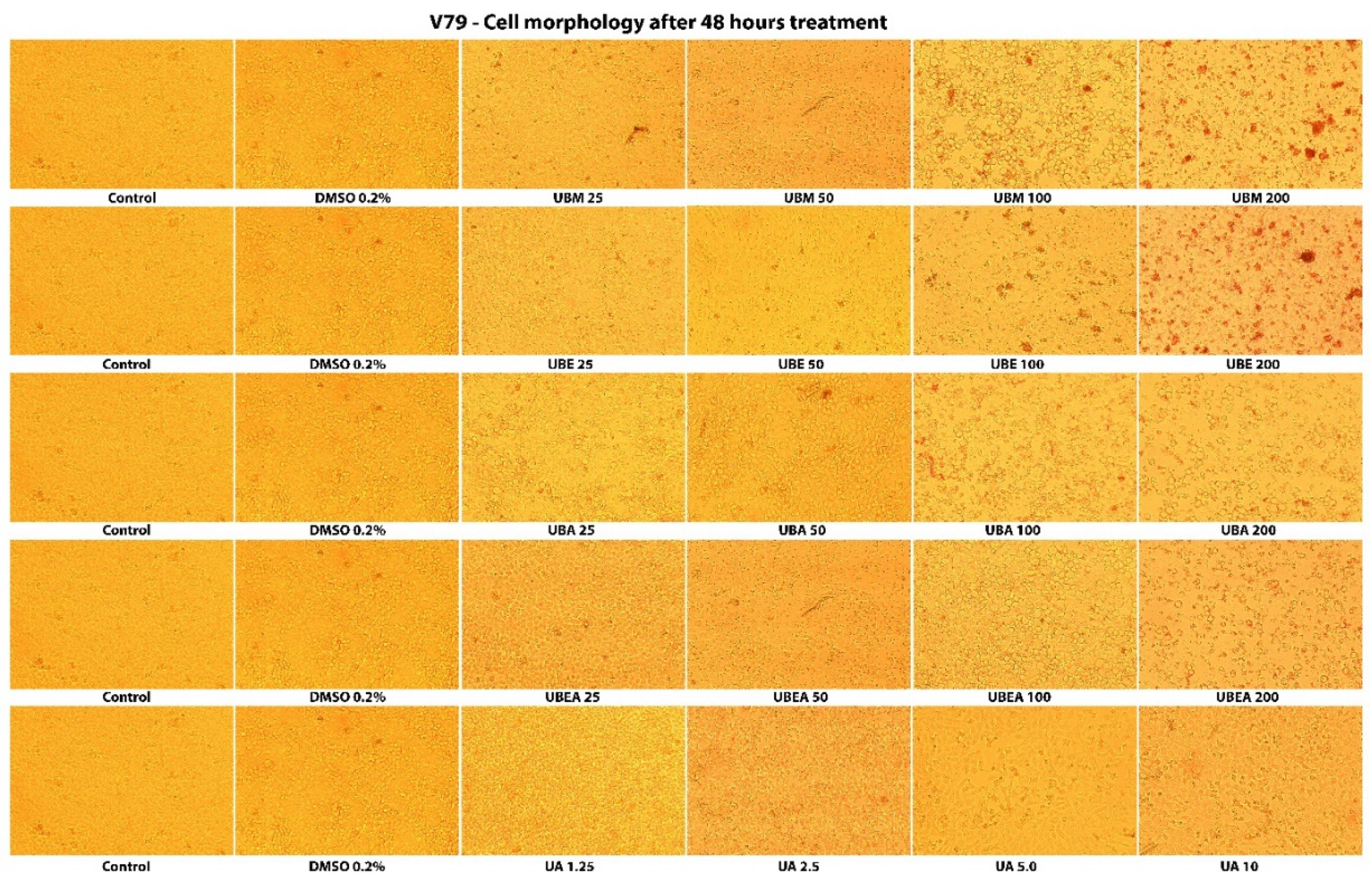 Antioxidants Free Full Text In Vitro Anticancer Activity And Oxidative Stress Biomarkers Status Determined By Usnea Barbata L F H Wigg Dry Extracts Html