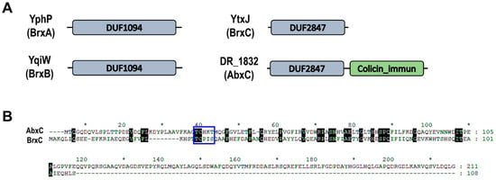 The reduction effect and mechanism of Deinococcus radiodurans