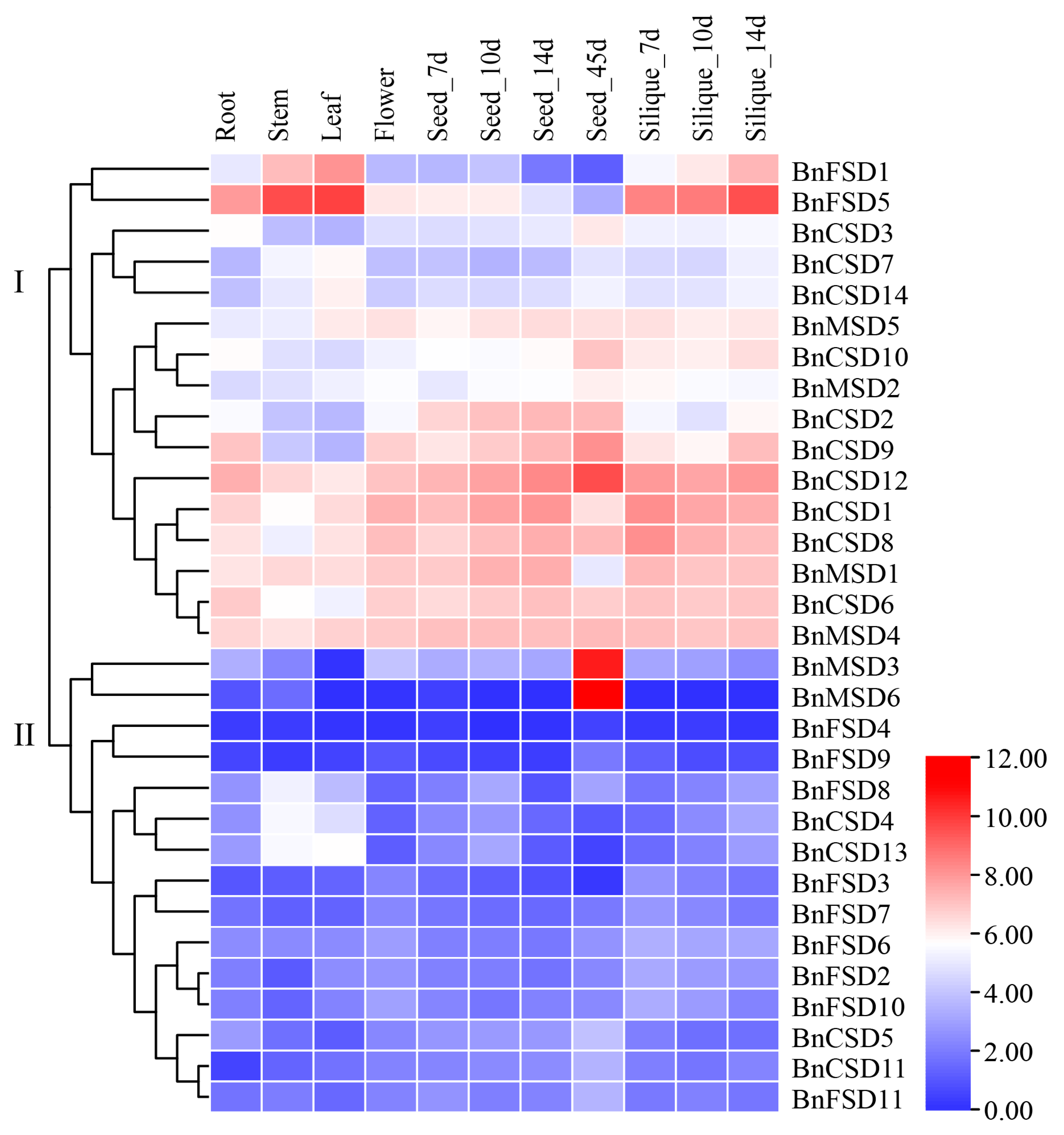 Antioxidants | Free Full-Text | Genome-Wide Analysis and Expression ...