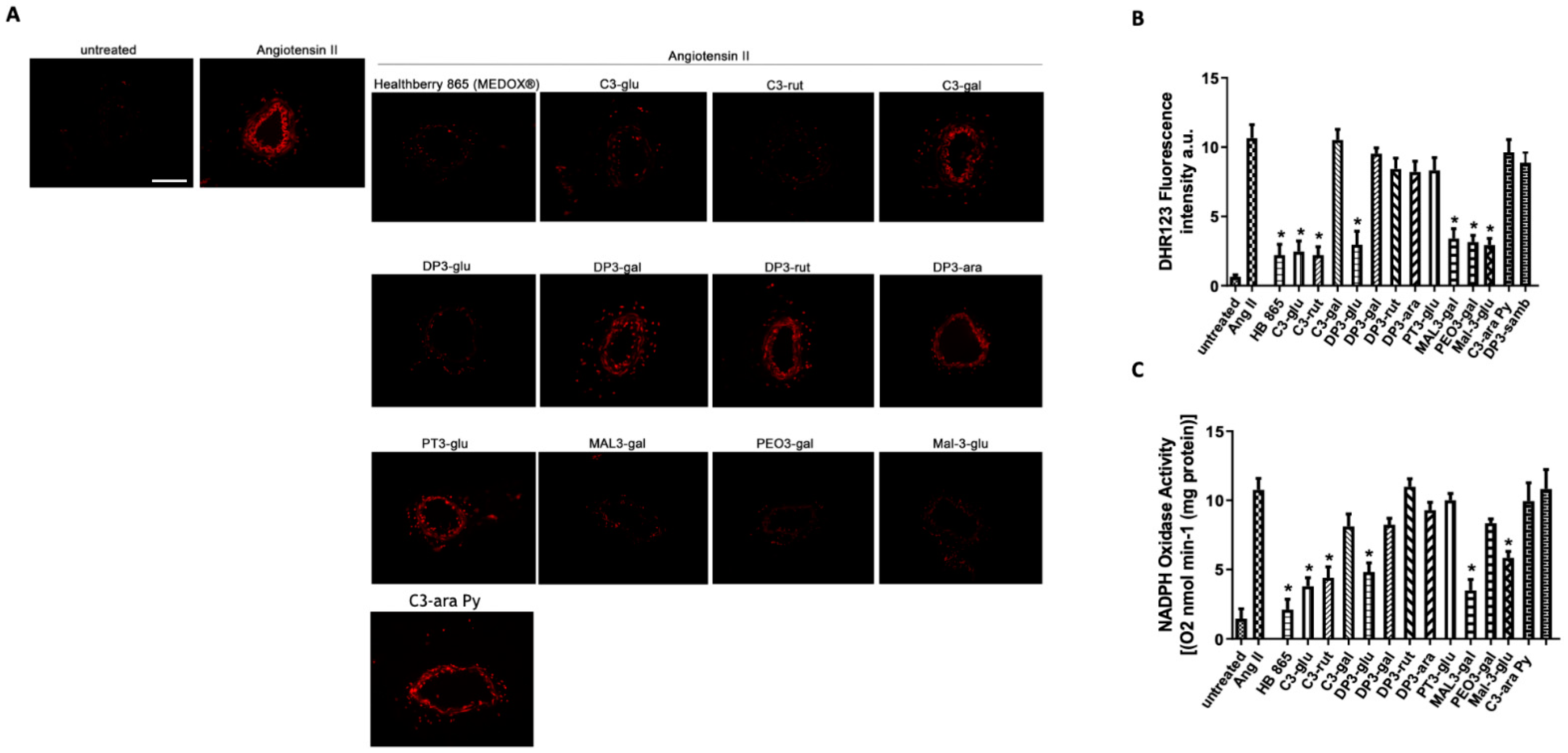 Antioxidants 10 01191 g006