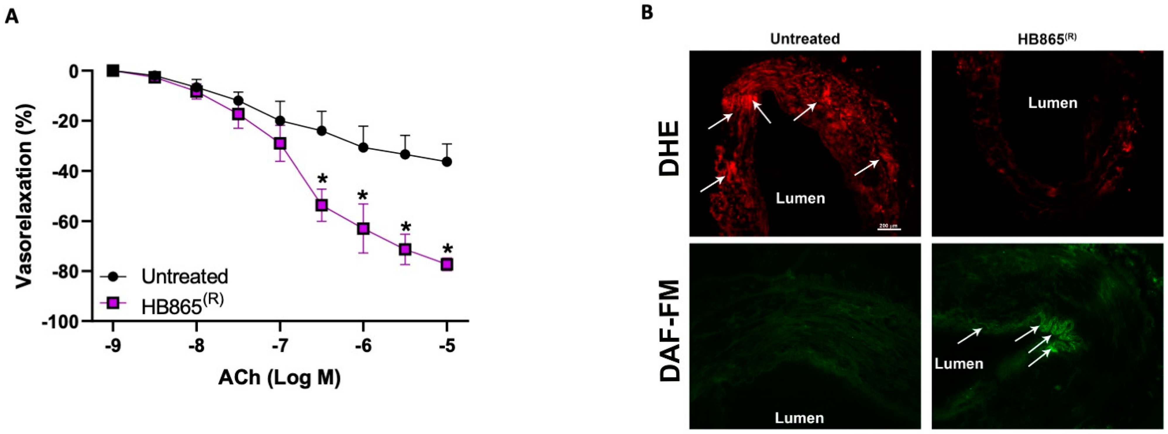 Antioxidants 10 01191 g008