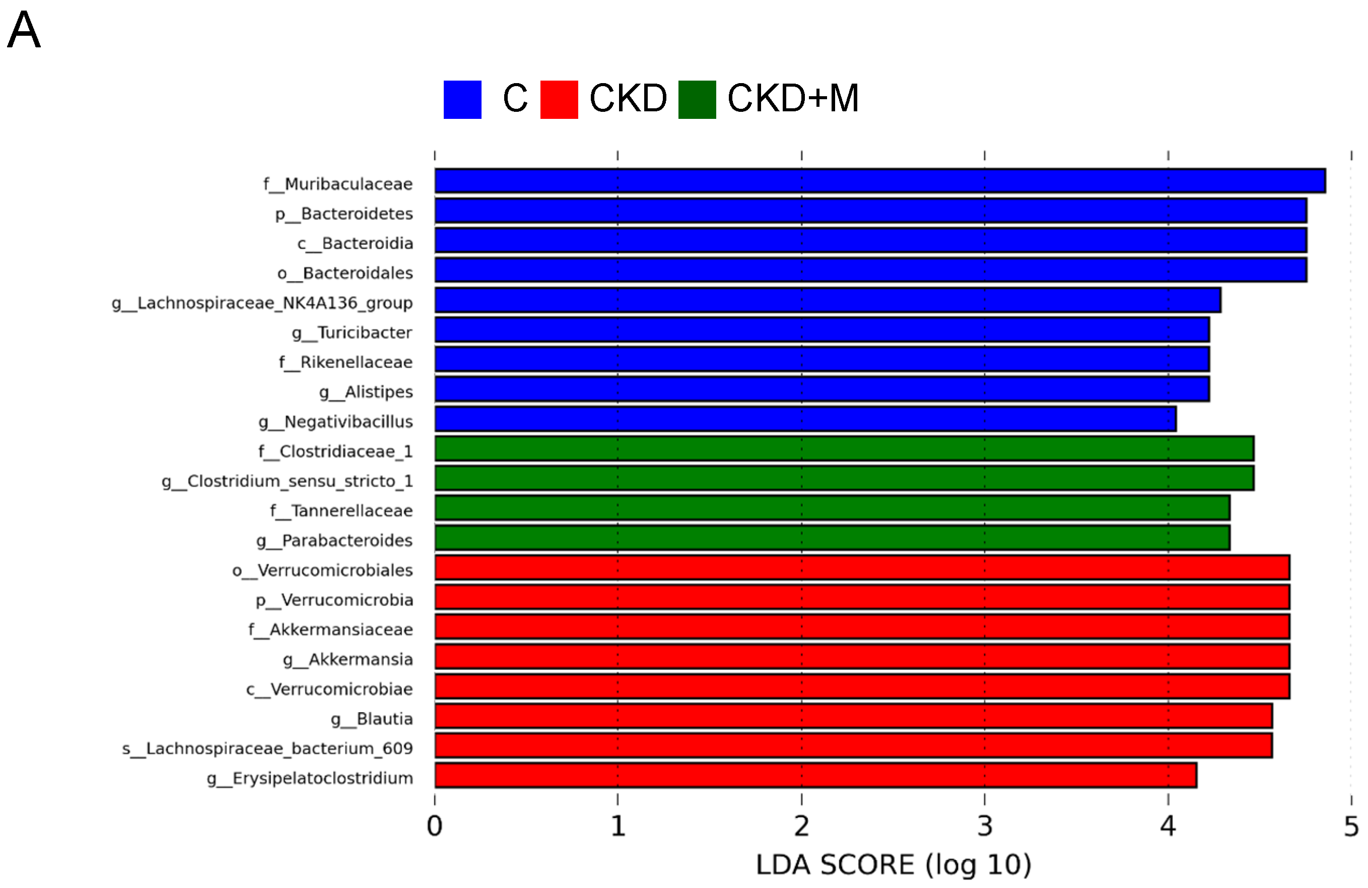 Antioxidants 10 01211 g005a