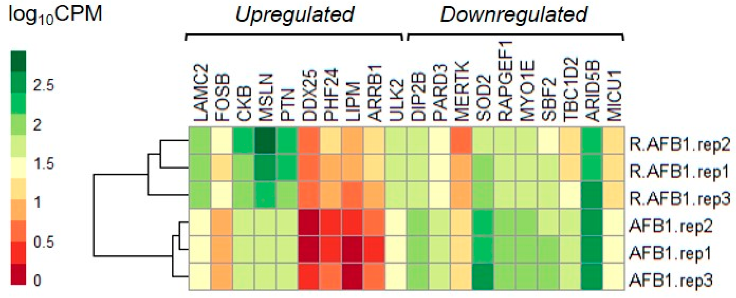 Antioxidants 10 01225 g003