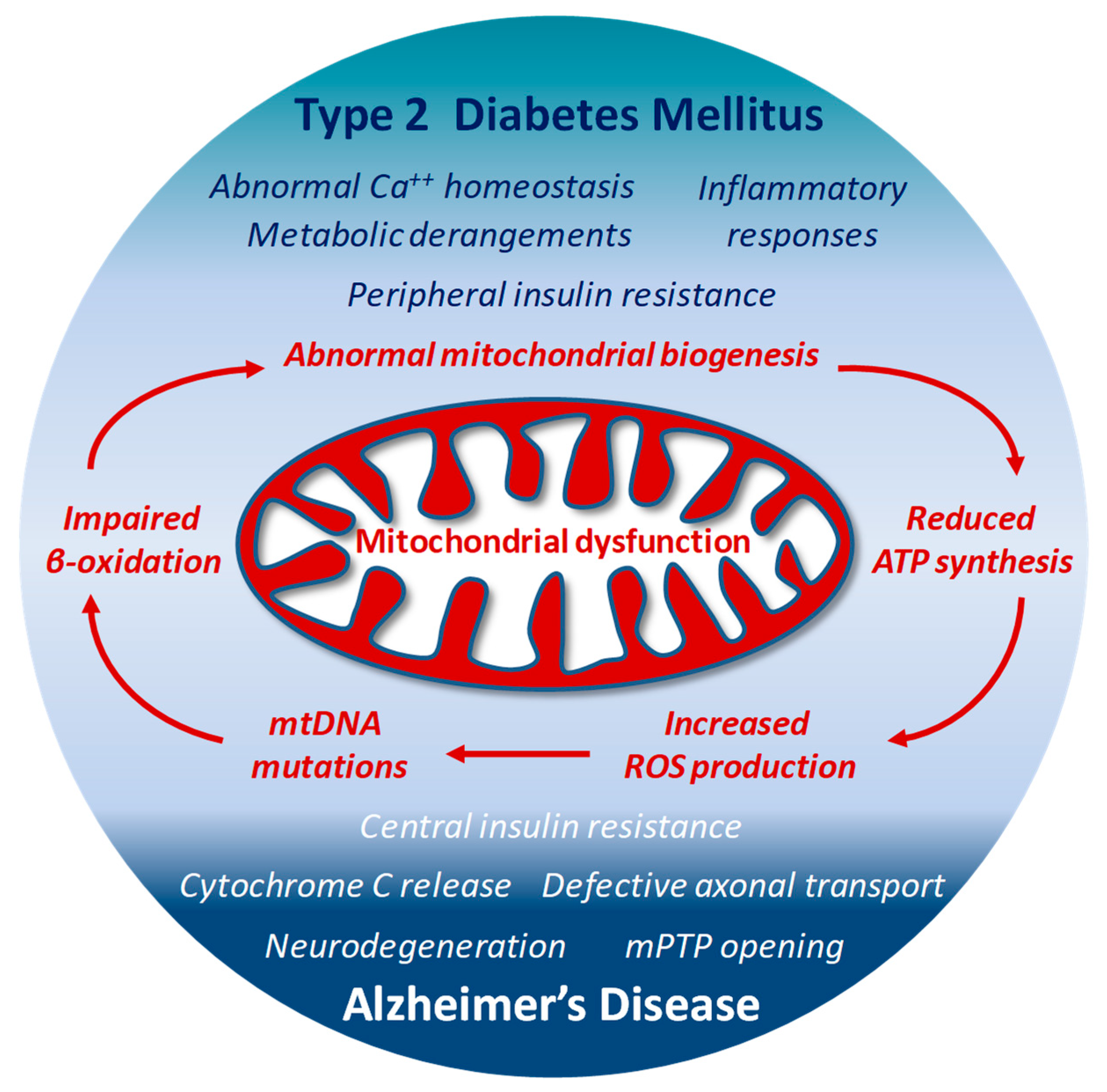 Antioxidants | Free Full-Text | Diabetes and Alzheimer's Disease 