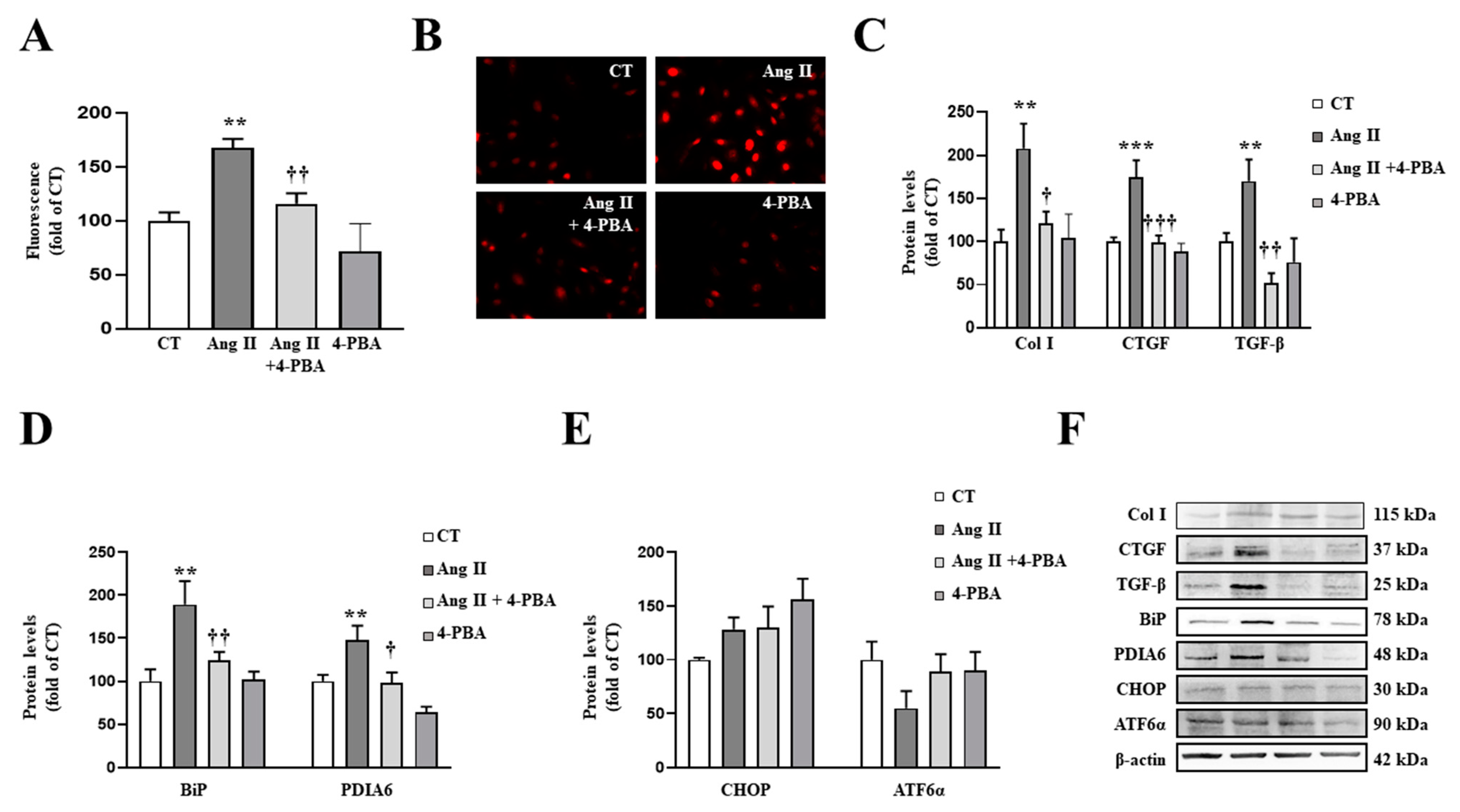 Antioxidants 10 01274 g006 Antioxidants 10 01274 g006