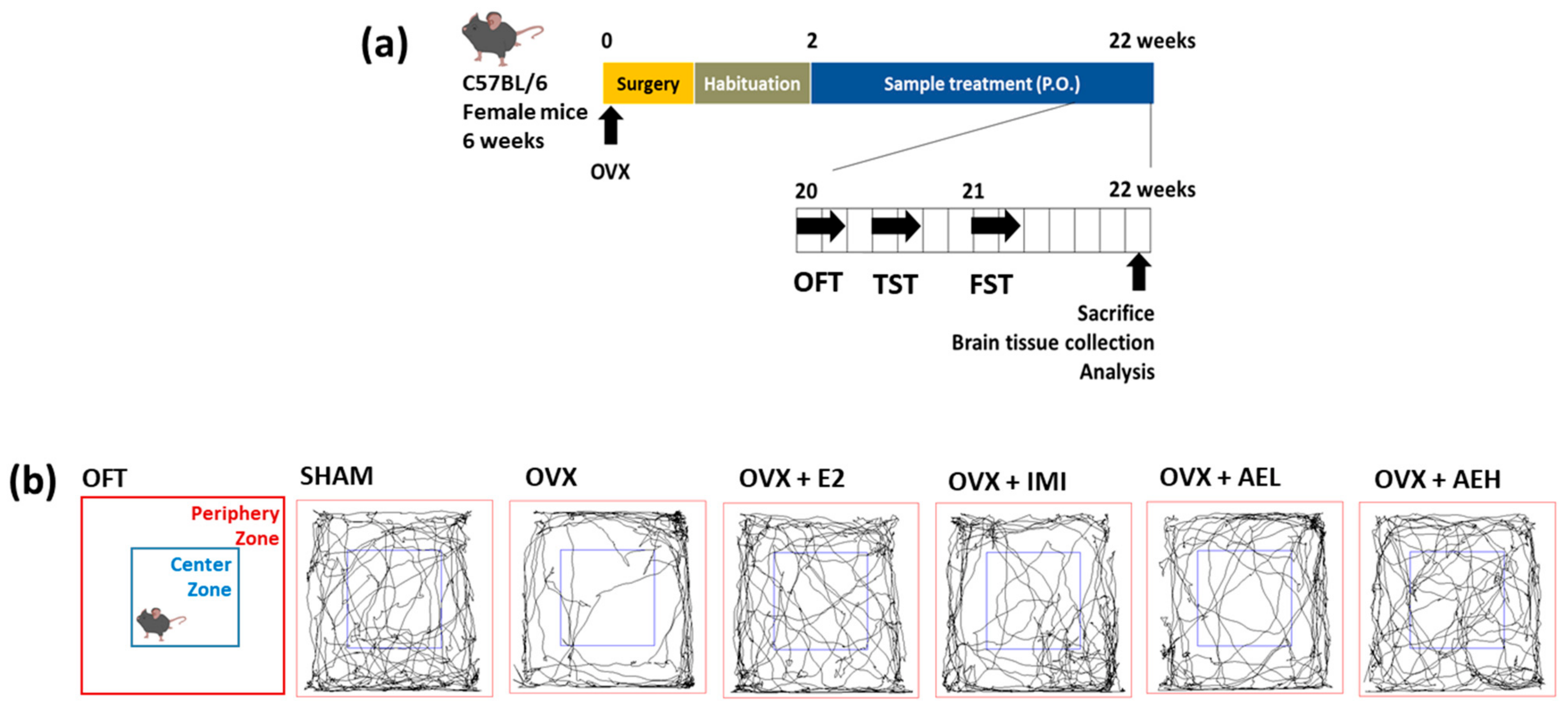 Antioxidants 10 01281 g002a